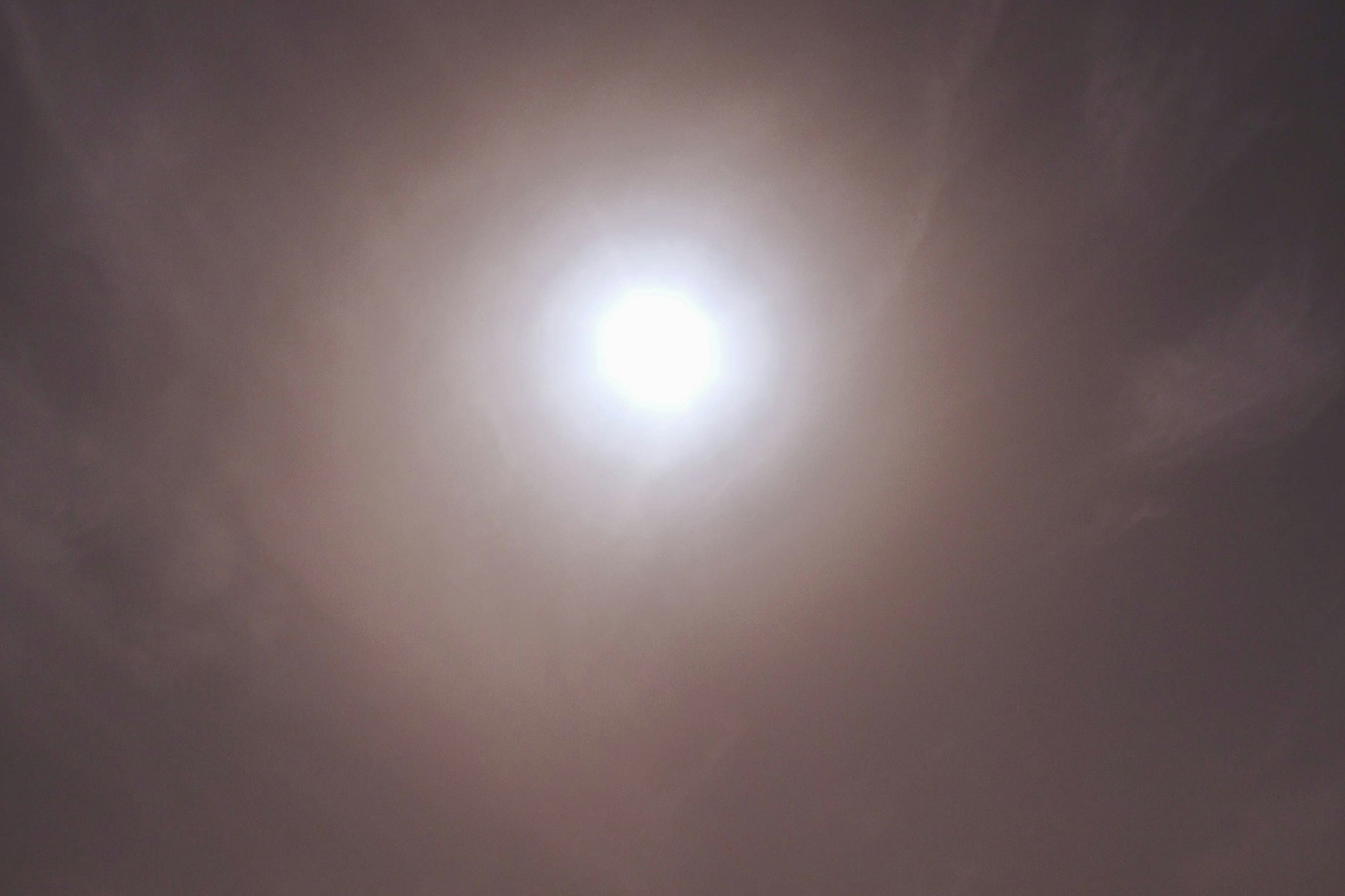 Eine riesige Saharastaubwolke bringt den Frühsommer nach Deutschland. Extrem milde Luftmassen fluteten seit einigen Stunden Deutschland. Besonders Ostdeutschland ist betroffen.