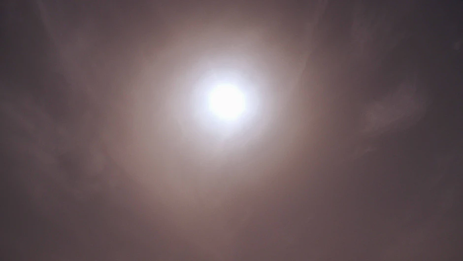 Eine riesige Saharastaubwolke bringt den Frühsommer nach Deutschland. Extrem milde Luftmassen fluteten seit einigen Stunden Deutschland. Besonders Ostdeutschland ist betroffen.
