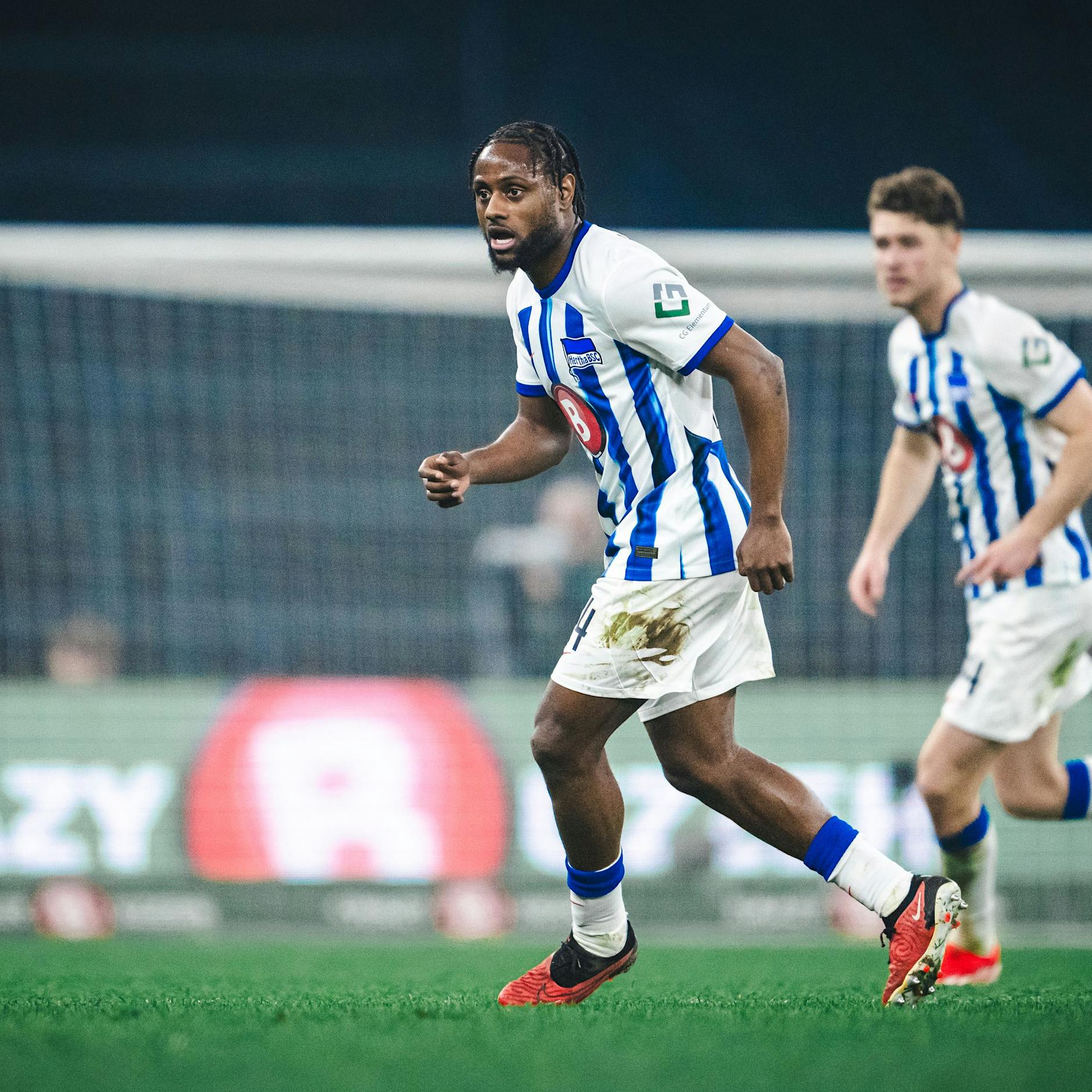 Hertha-Trainer Pal Dardai mit Mega-Lob: „Deyo Zeefuik hat uns gerettet“