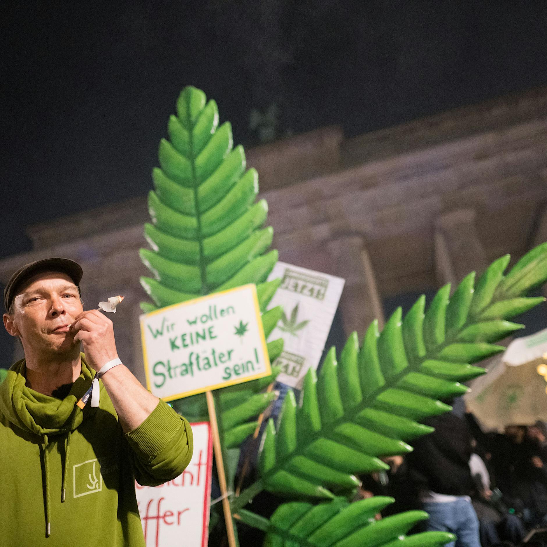 Cannabis jetzt legal: Das müssen Sie zu Anbau und Konsum wissen