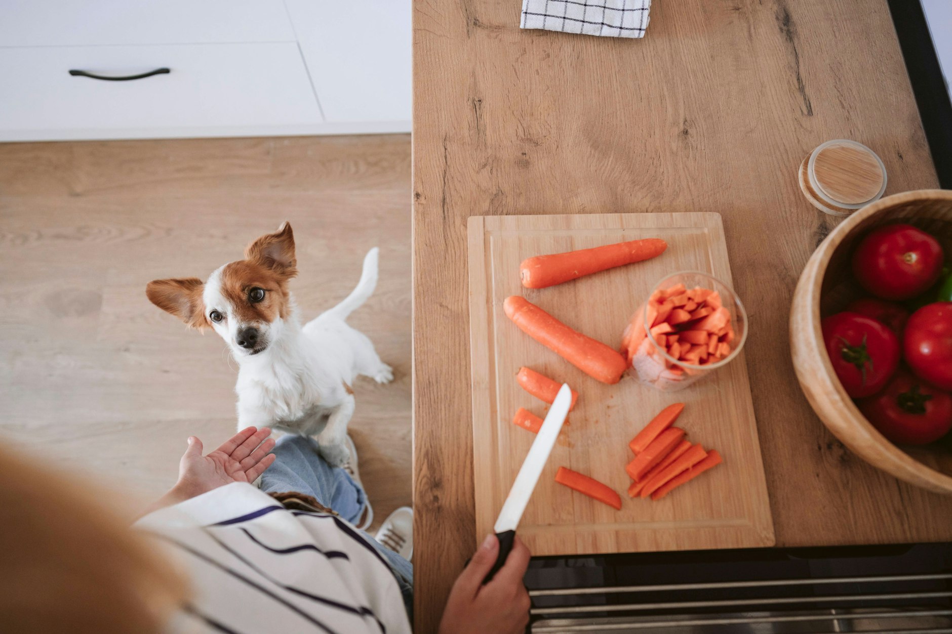 Haben Sie schon mal ausprobiert die Leckerlis für ihre geliebten Vierbeiner selbst zu backen? Mit diesem Rezept für Hundesnacks wird Ihnen ihr Vierbeiner danken. Diese Hundeleckerlis sind gesund, vegetarisch und billig.