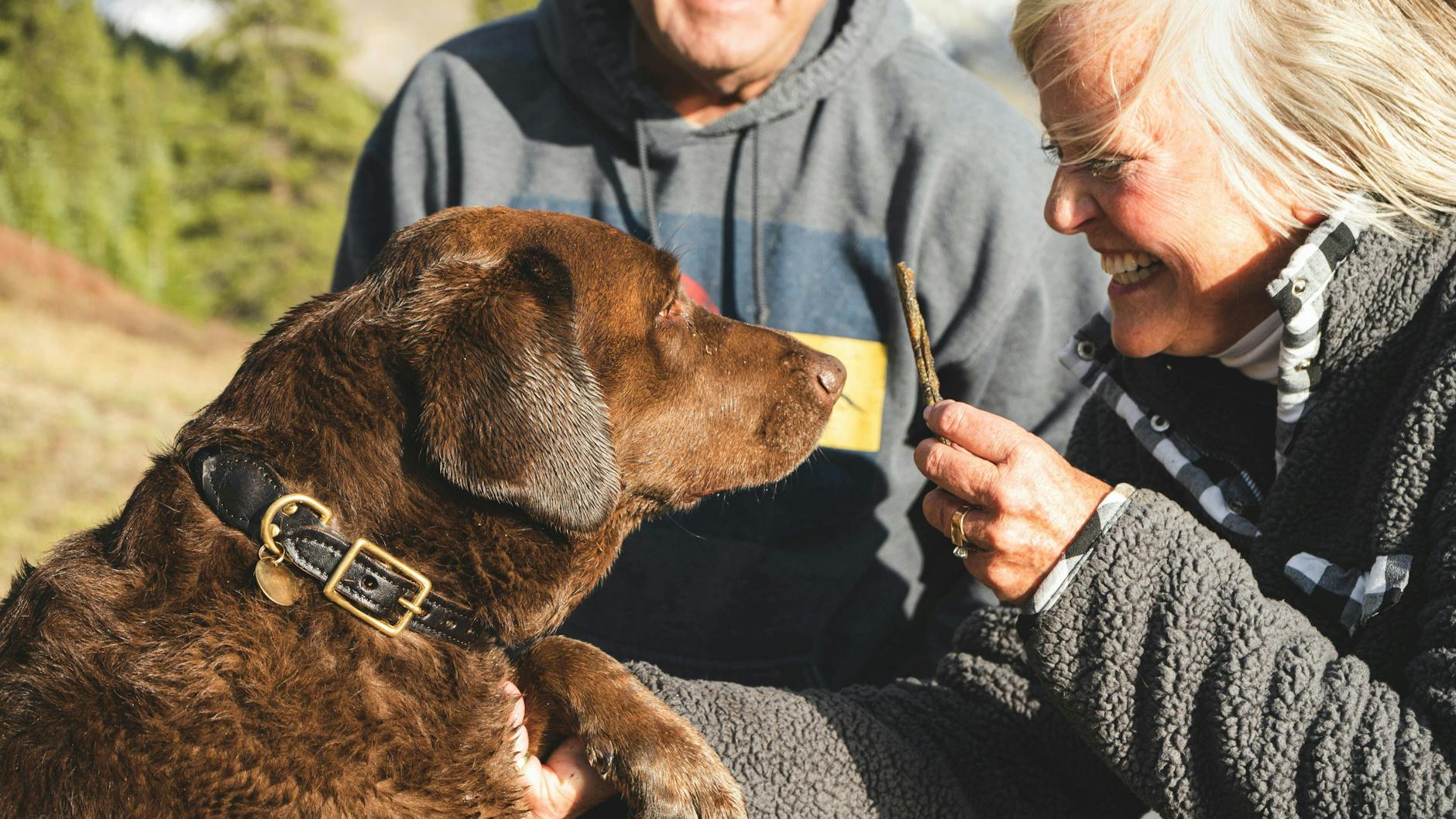 Spiele können das Gassigehen für Hunde ansprechender gestalten.
