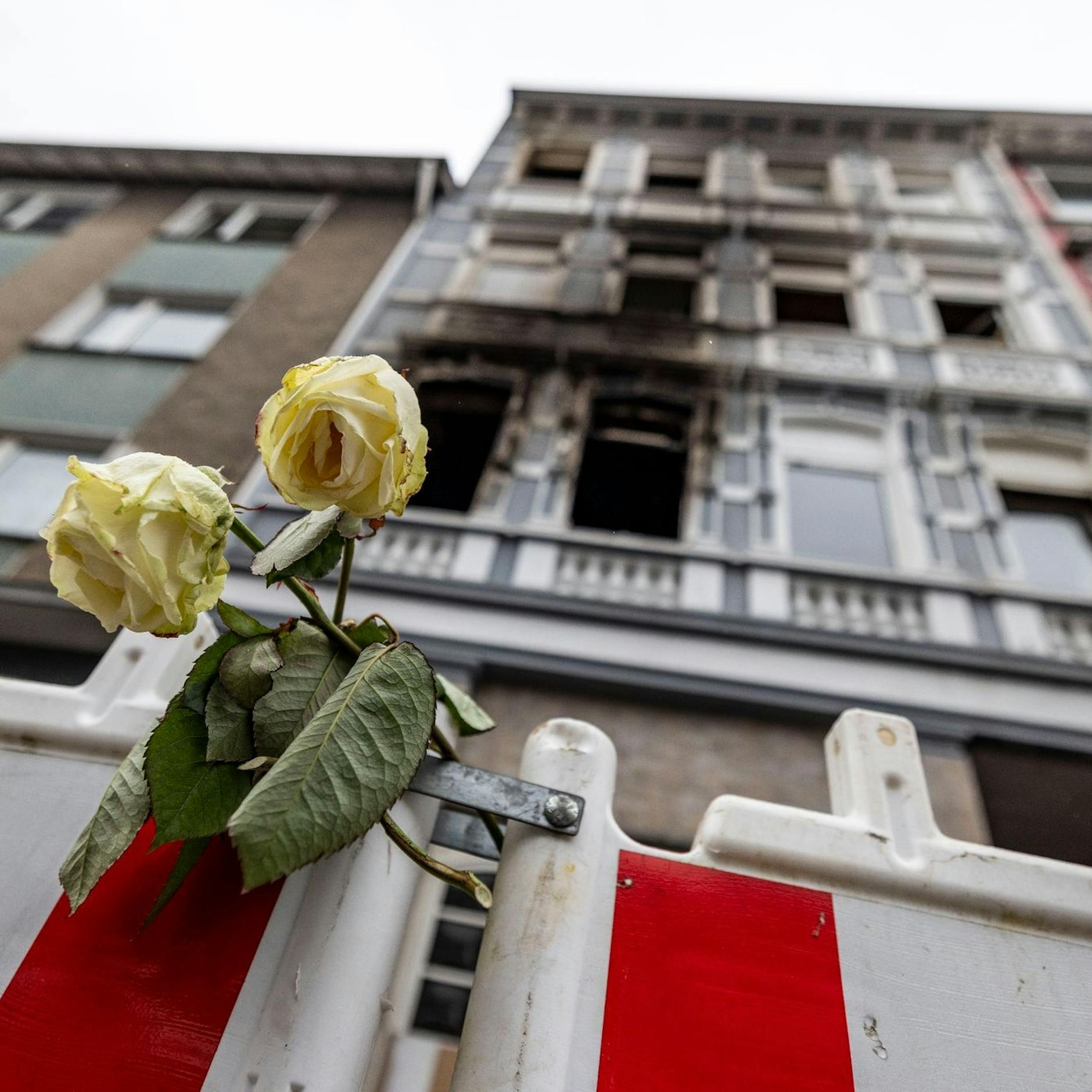 Image - Nach verheerendem Brand mit vier Toten in Solingen – so geht es den Verletzten