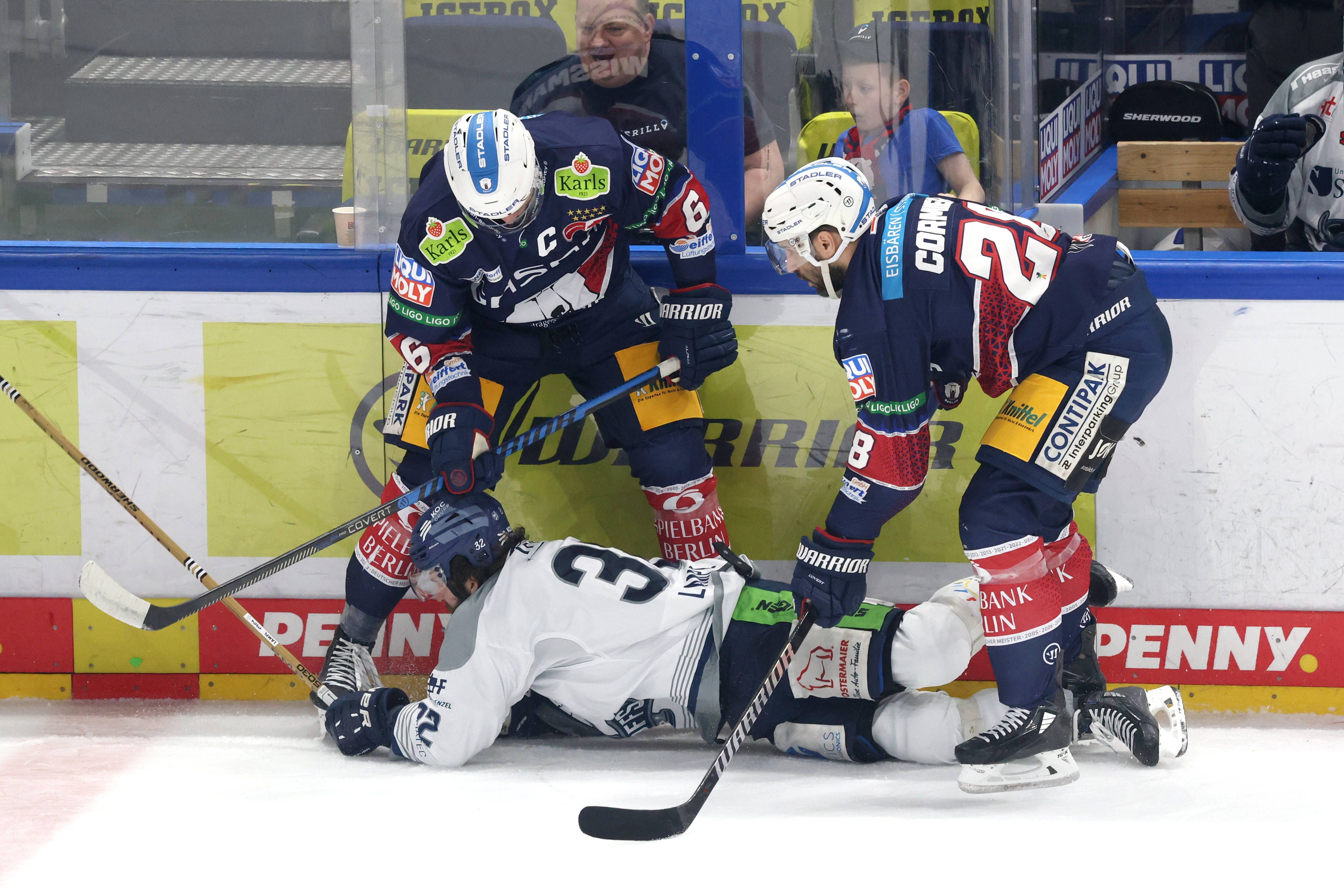 Image - Eisbären: Gute Vorsätze für die Tigerjagd 2.0