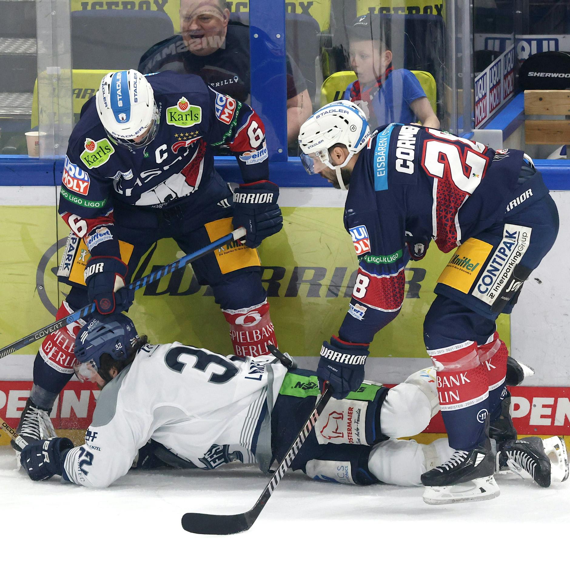 Eisbären: Gute Vorsätze für die Tigerjagd 2.0