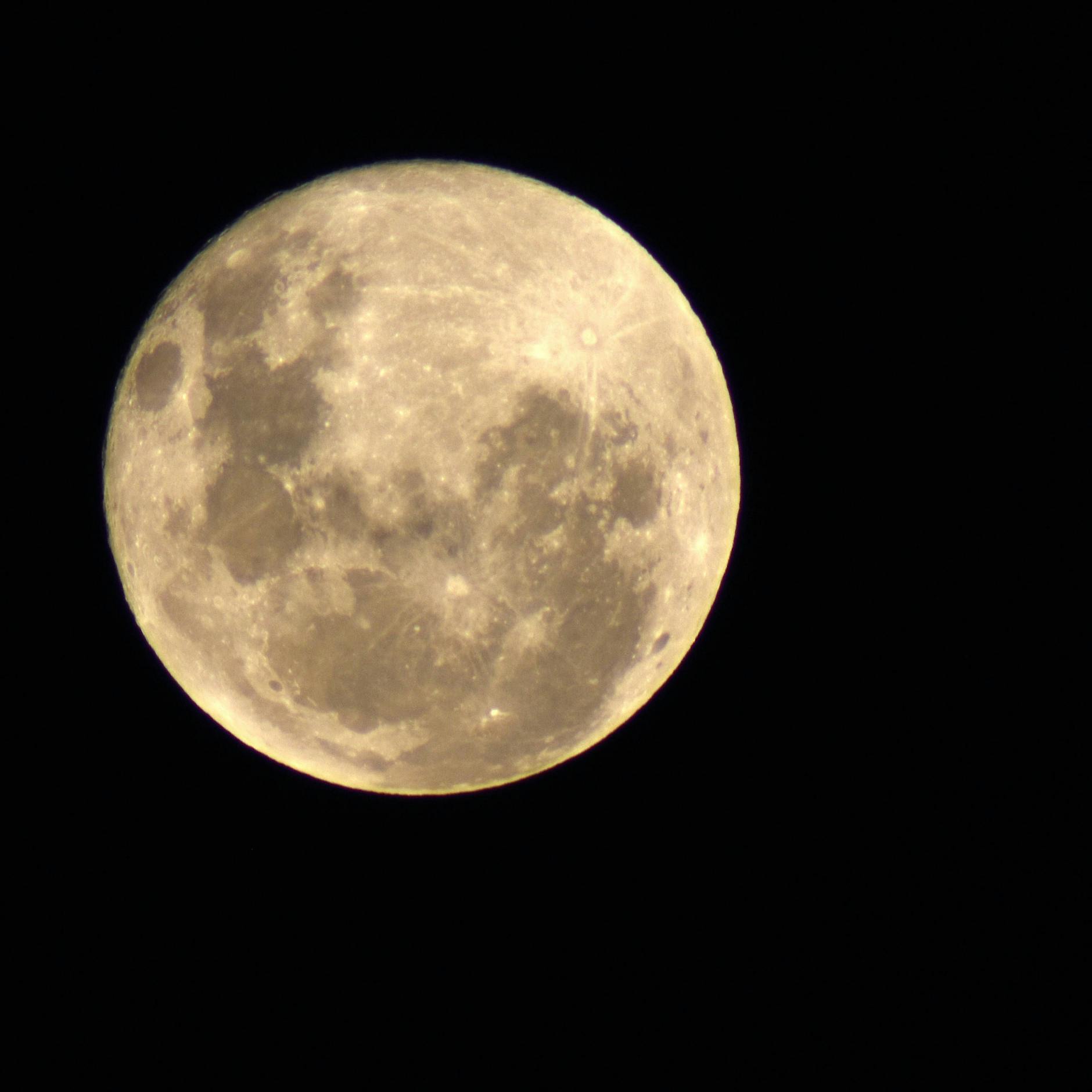 Artemis-Rakete bleibt am Boden – NASA verschiebt bemannte Mondlandung