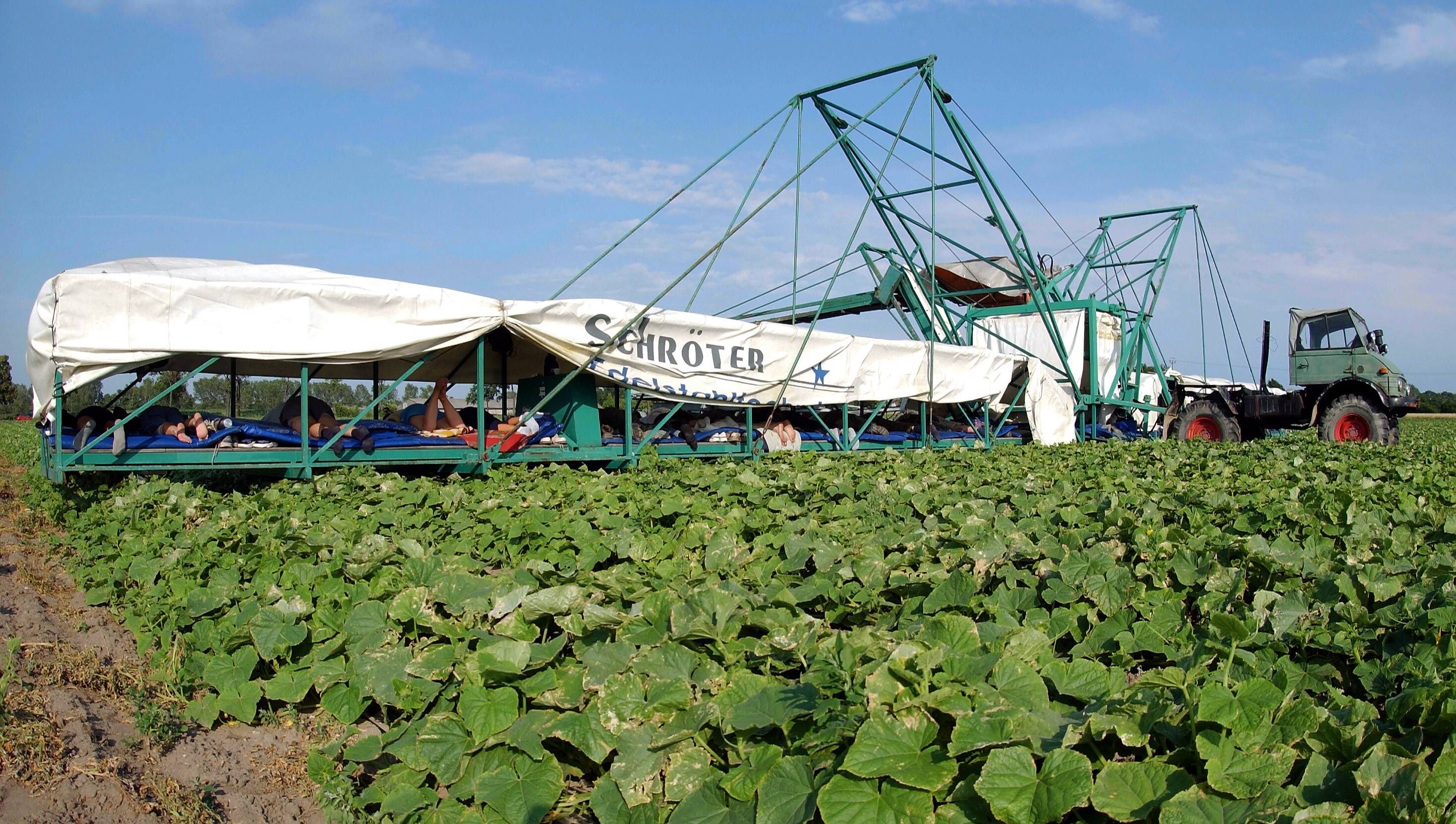 Image - Was ist ein Gurkenflieger? Kuriose Begriffe einfach erklärt