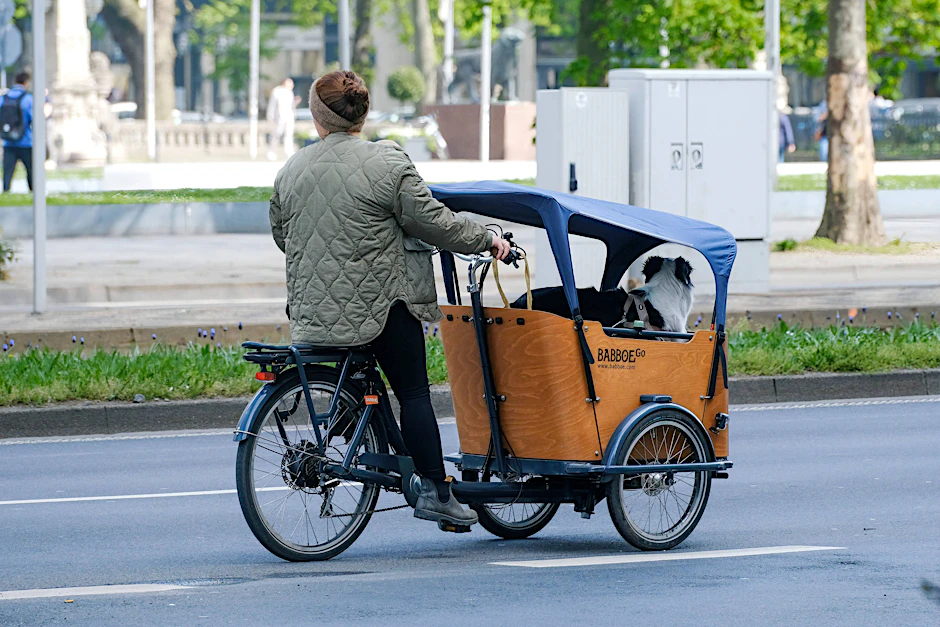Unterwegs mit Hund und einem Lastenrad der Firma Babboe