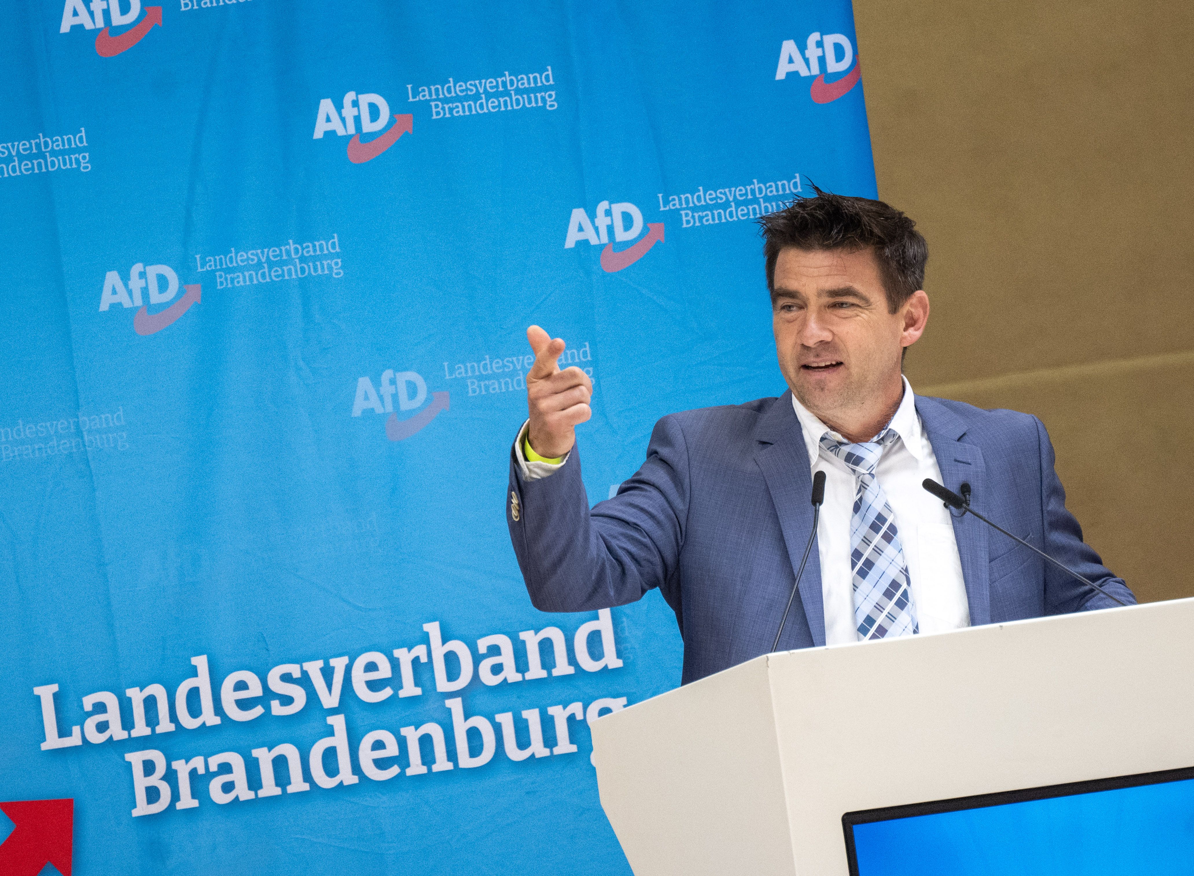 Proteste gegen AfD-Parteitag in Brandenburg