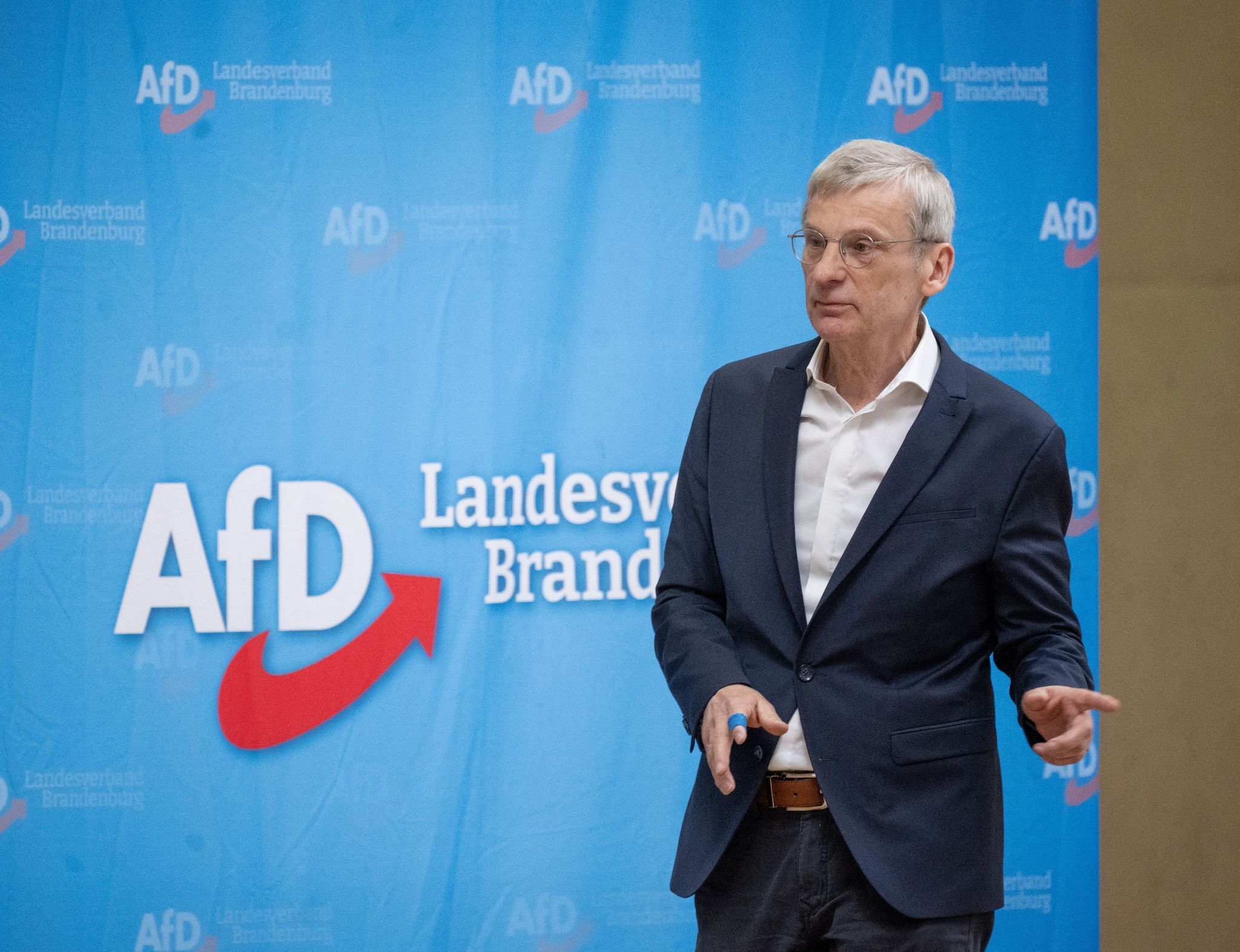 Brandenburger AfD-Spitzenkandidat Berndt will „Parteienstaat“ überwinden