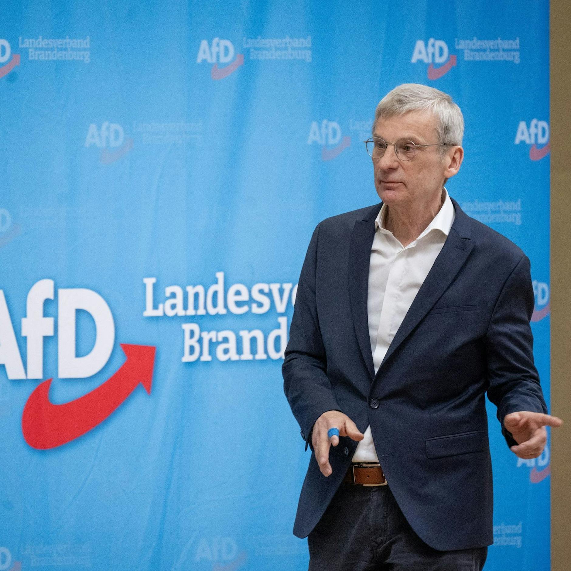 Brandenburger AfD-Spitzenkandidat Berndt will „Parteienstaat“ überwinden