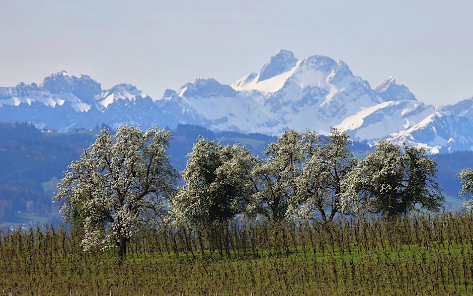 dpatopbilder - Im Süden Deutschlands wird es sonnig und warm.  