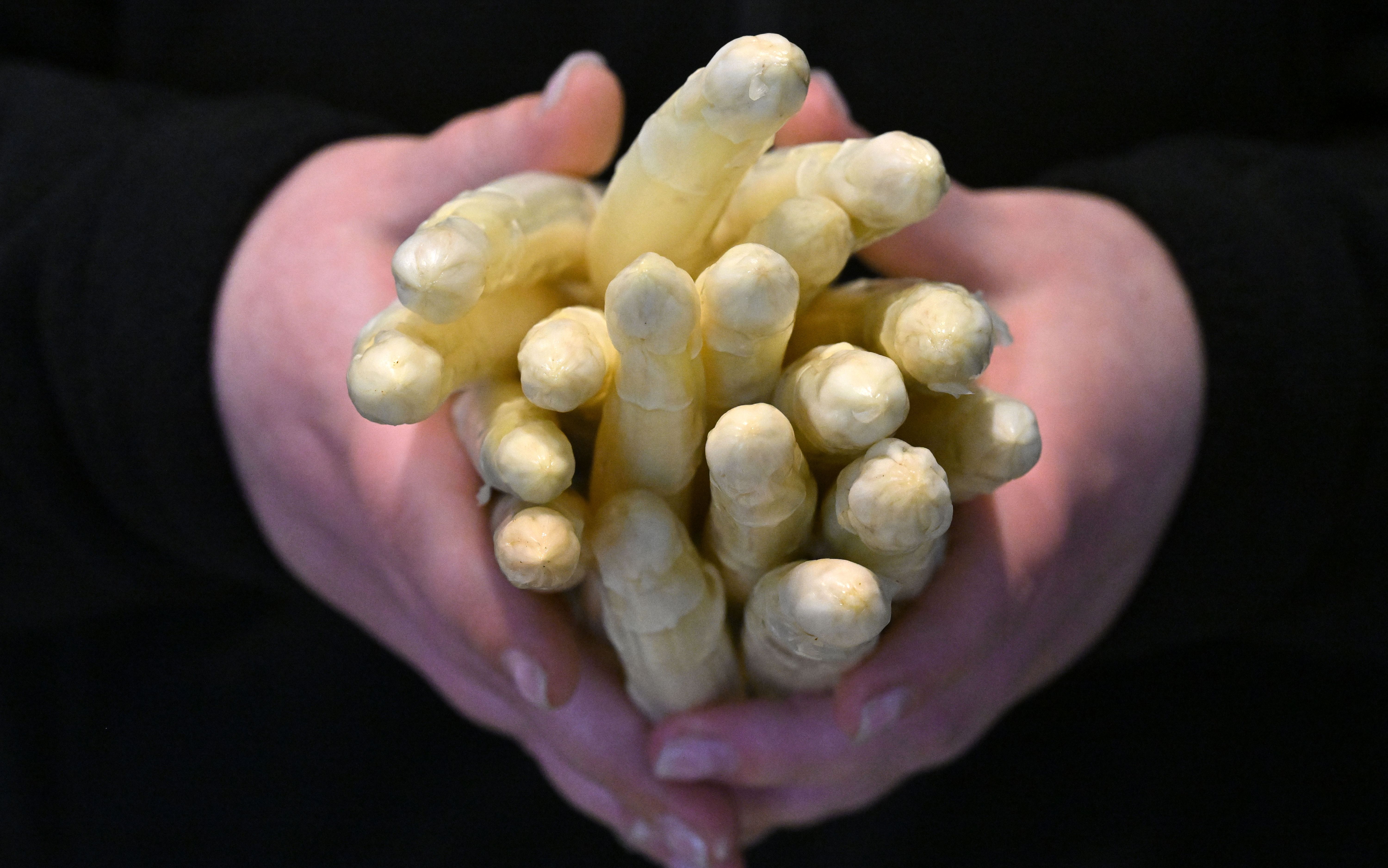 Sommer-Wetter: Gibt es jetzt mehr Spargel? Wird er endlich billiger?
