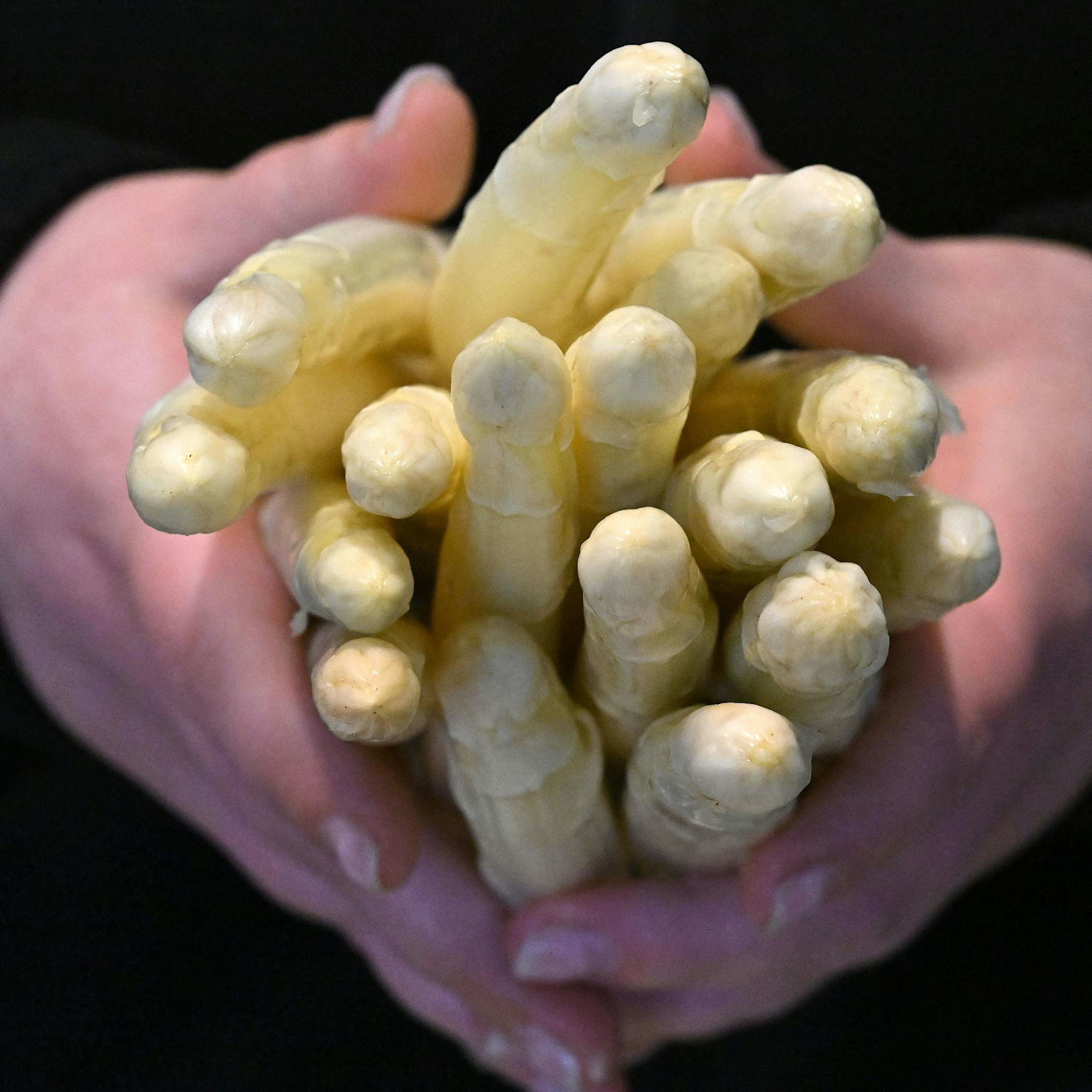 Sommer-Wetter: Gibt es jetzt mehr Spargel? Wird er endlich billiger?