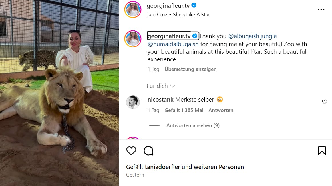 Georgina postete ein Video, in dem sie einen angeketteten Löwen streichelt.