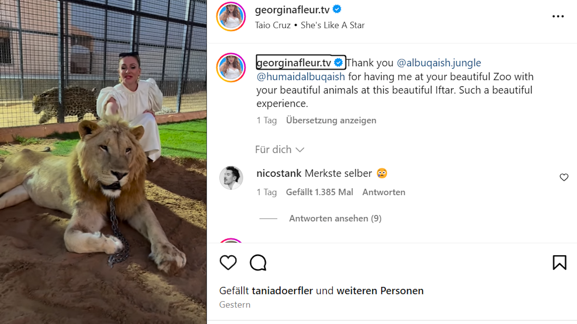 Georgina postete ein Video, in dem sie einen angeketteten Löwen streichelt.