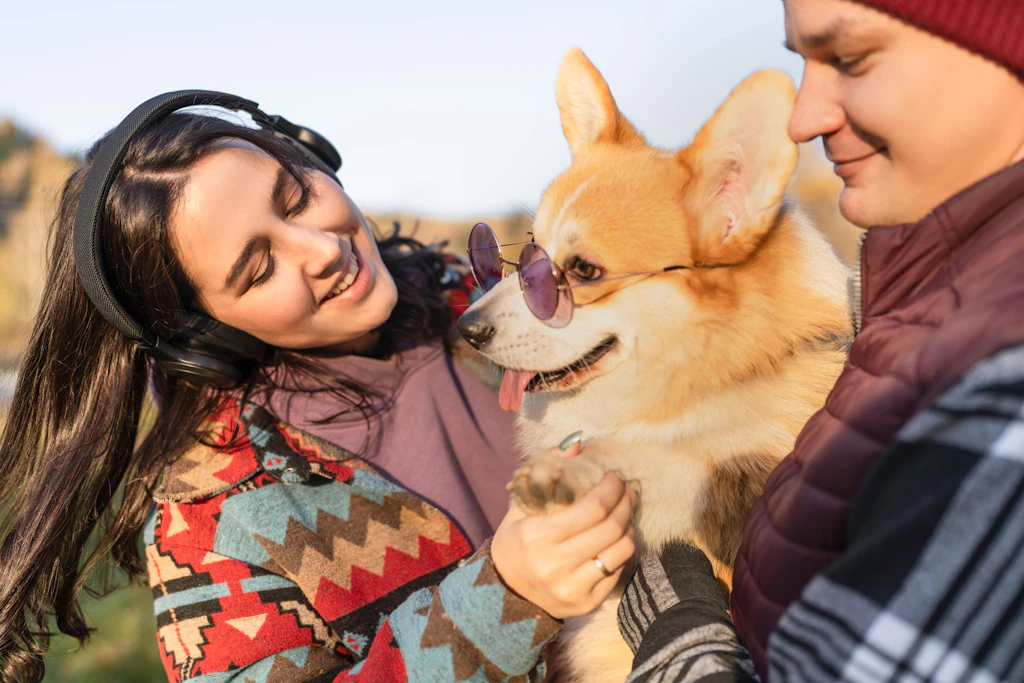 Auf DIESE Musik stehen Hunde so richtig!