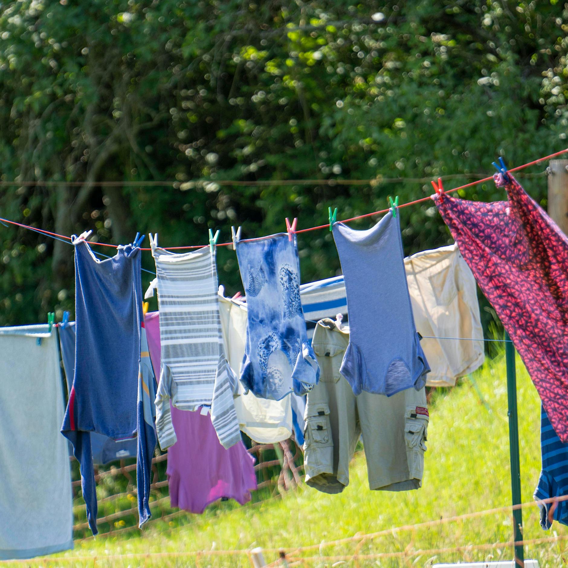 Flüssigwaschmittel oder Pulver: Welches Waschmittel ist besser?