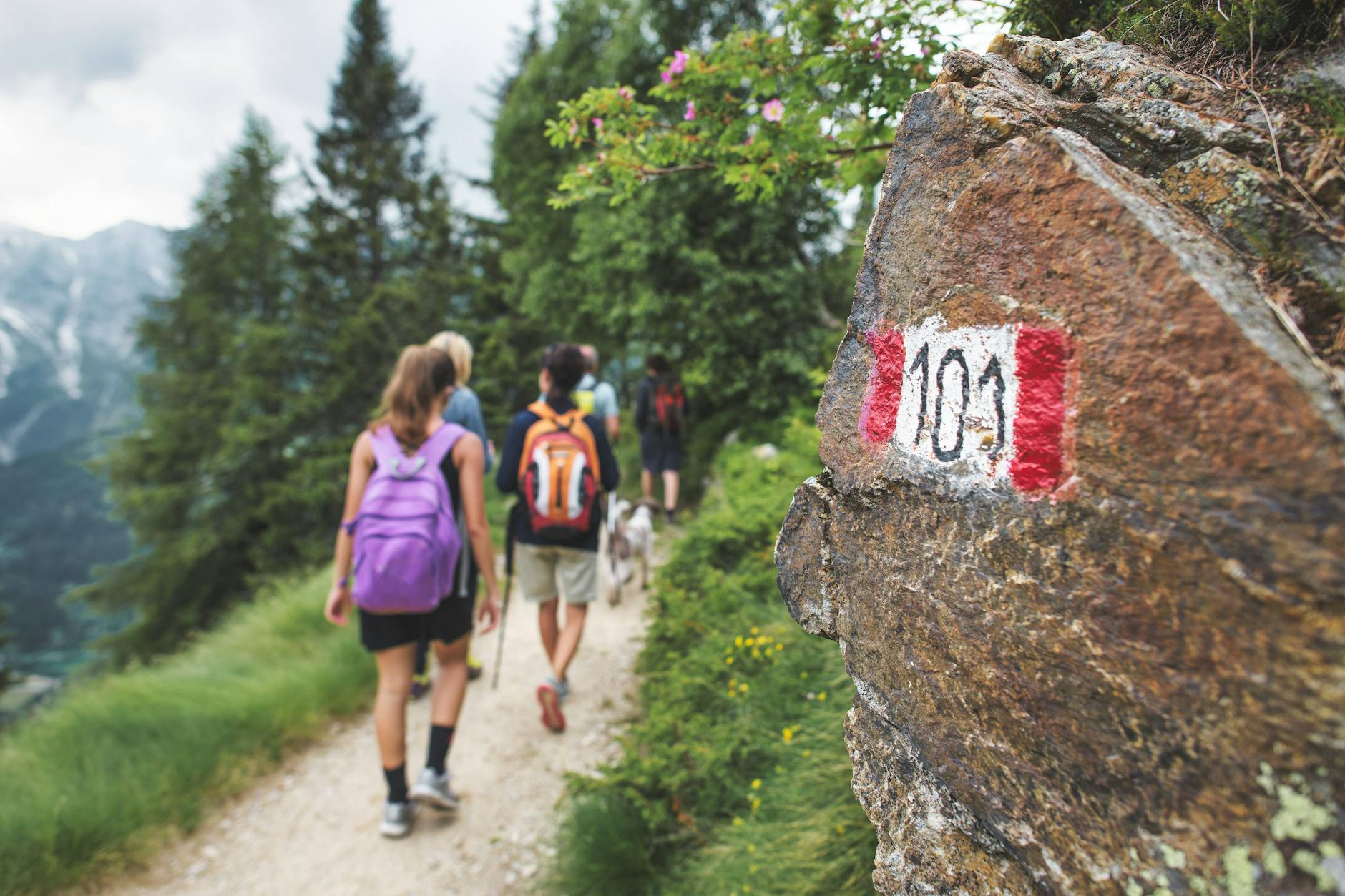Die Wanderung führt am Malchower See entlang über den Barnim bis zum Naturhof Malchow.