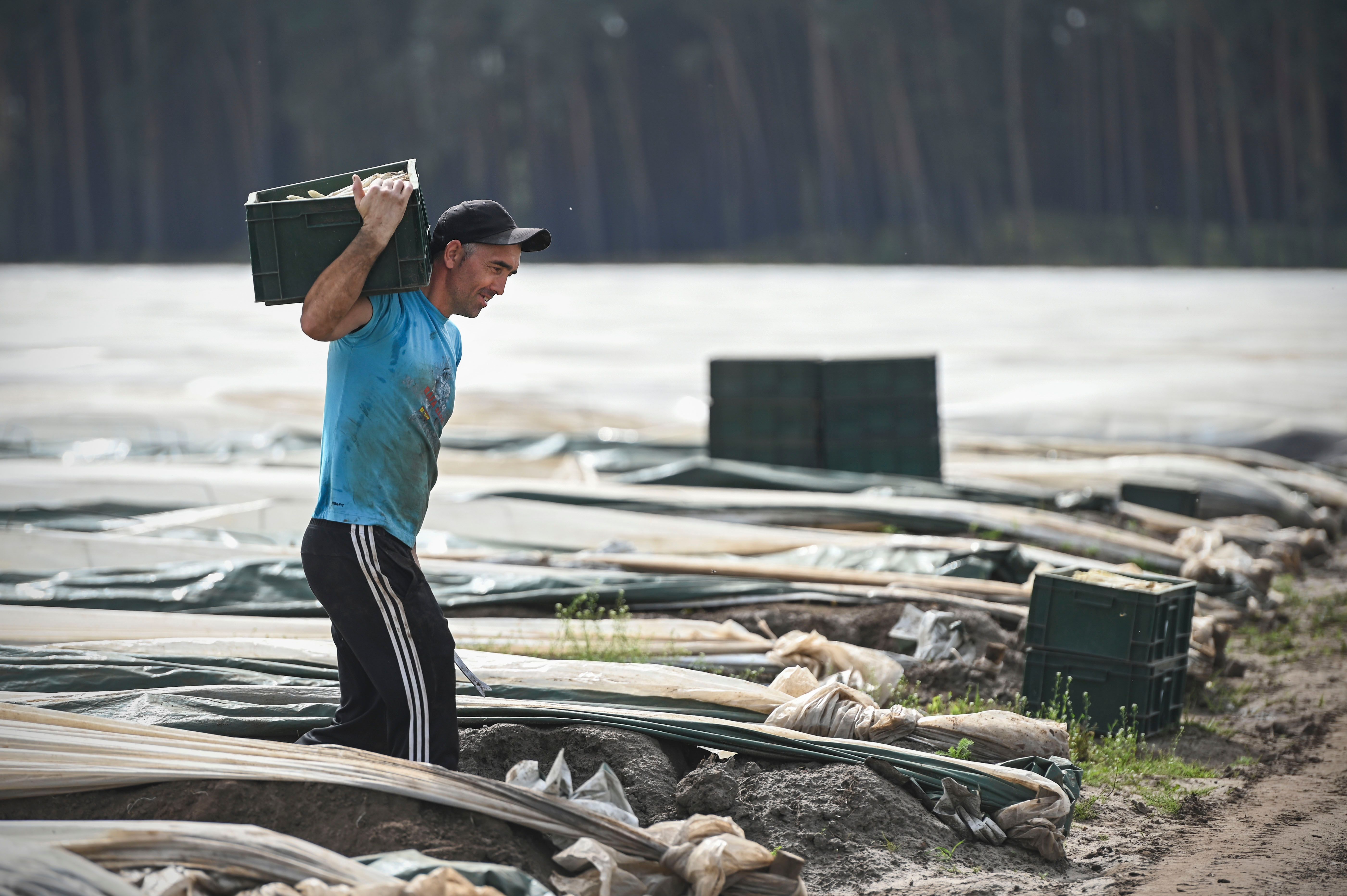 Beelitzer Spargel legendär: Stadt hat Einwohnerzahl seit DDR-Ende verdoppelt