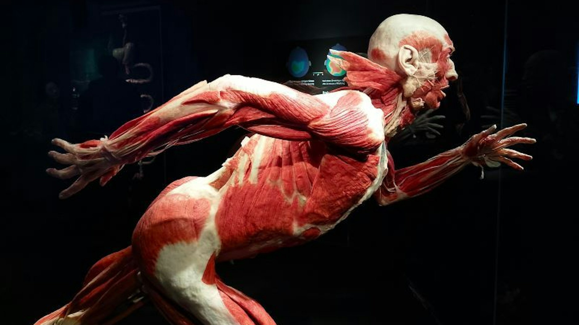 Ein Sportler bei der Arbeit: Der Läufer