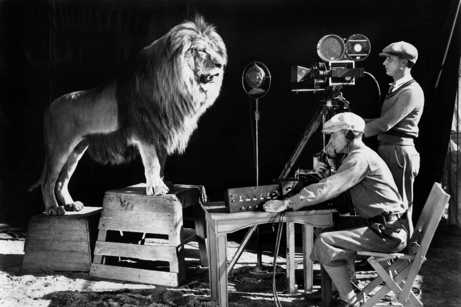 Bitte brüllen Sie jetzt! Die Aufnahme des MGM-Löwen aus dem Jahr 1925.
