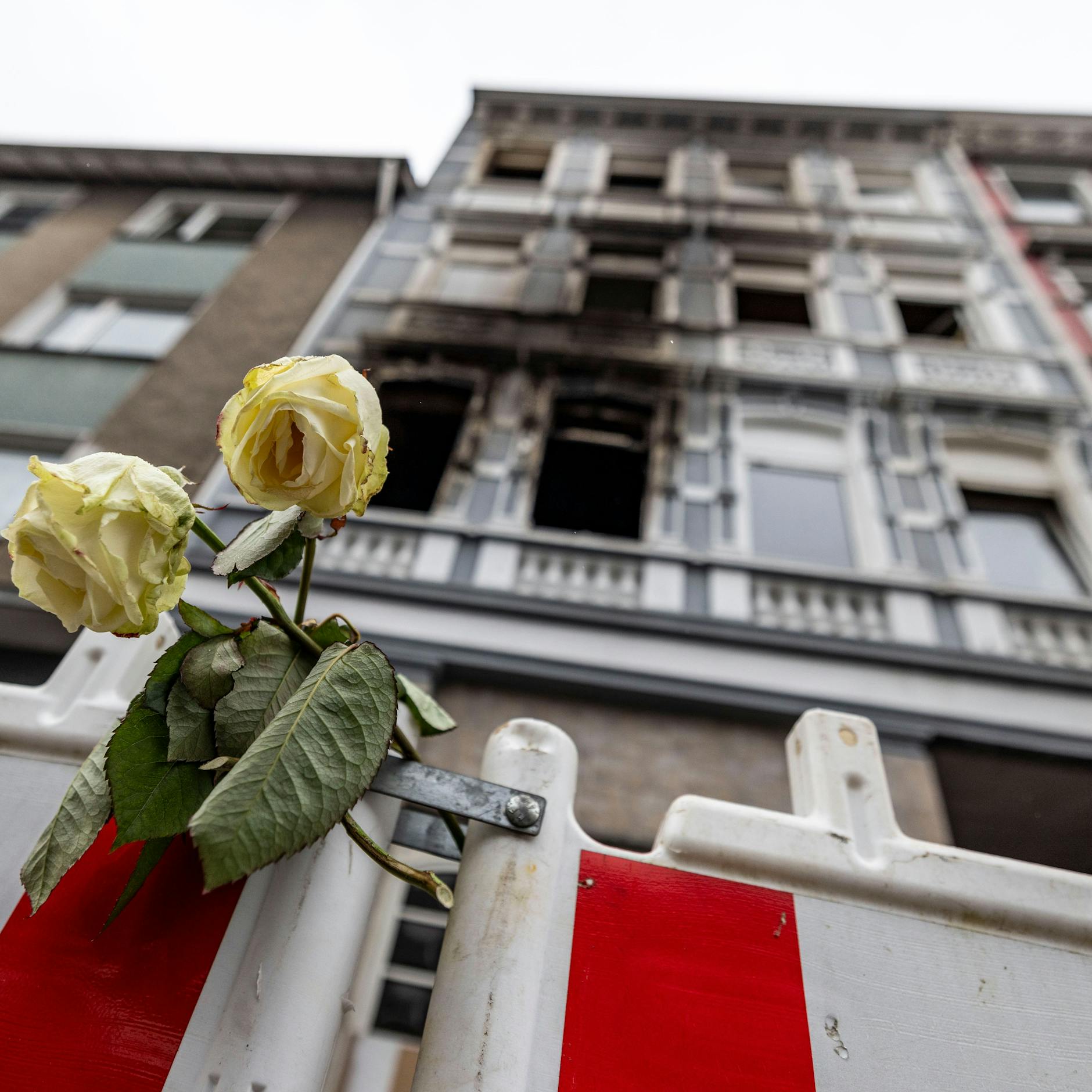 Image - Solinger Feuerteufel gefasst - er wollte Mann mit Machete skalpieren!