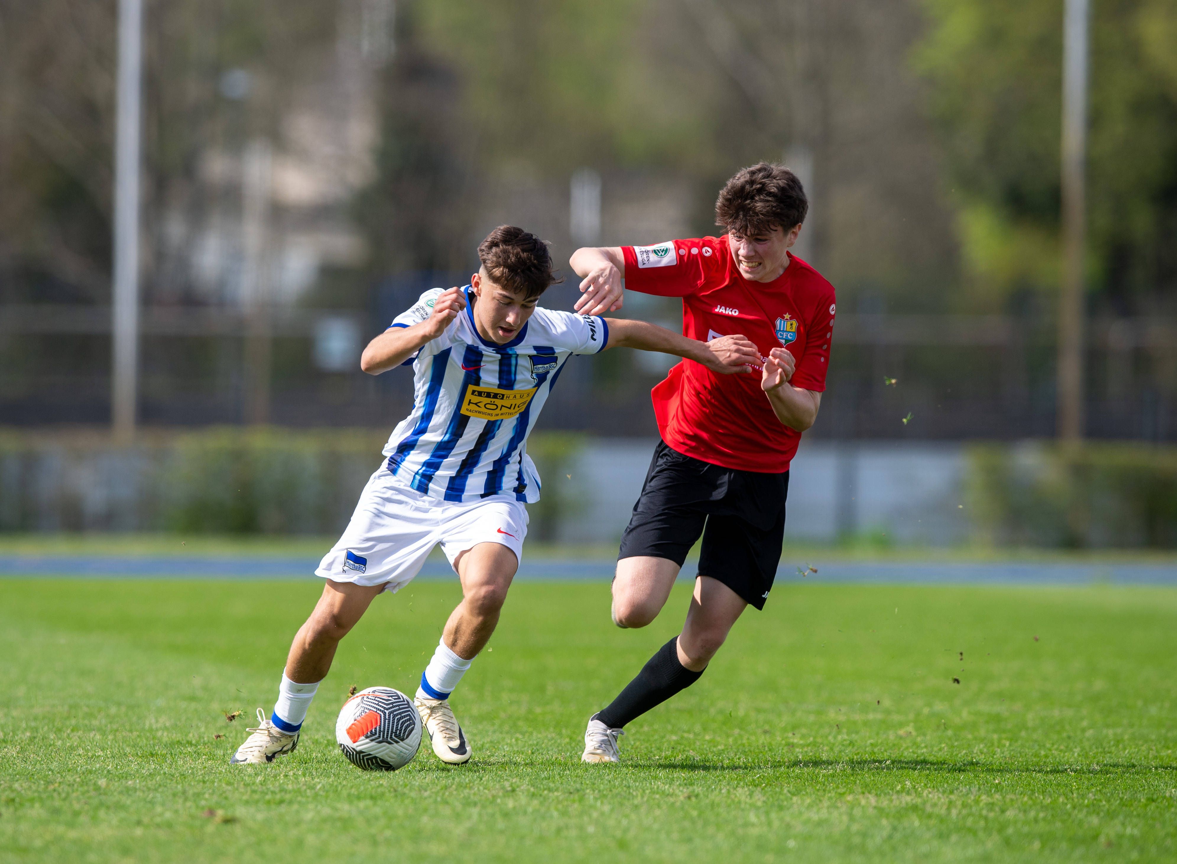 Schon wieder ablösefrei: Hertha BSC verliert weiteres Talent!