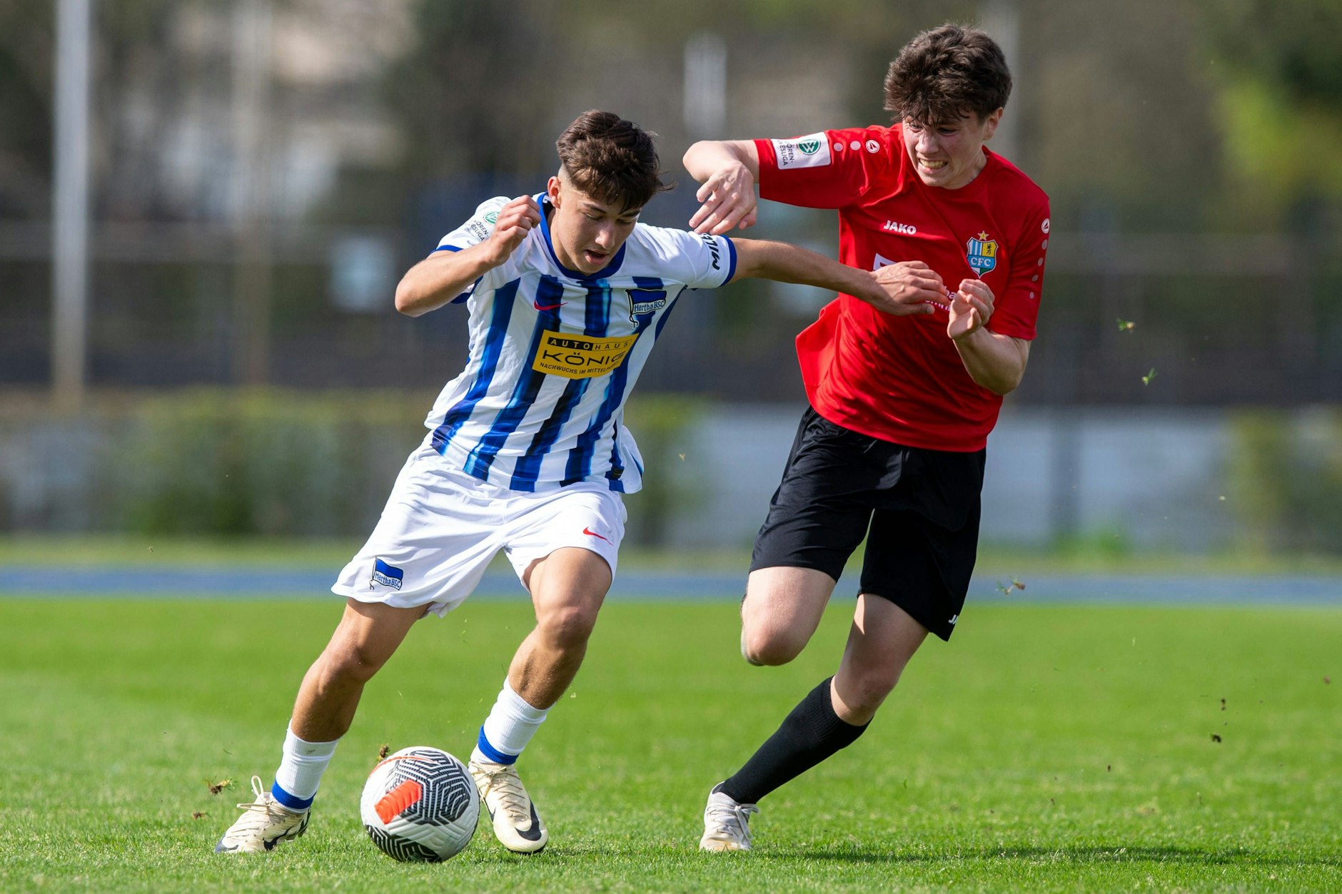Hertha-Talent Patrice Covic wird erst im Sommer 17 Jahre alt, weckt aber bereits das Interesse einiger Profiklubs.