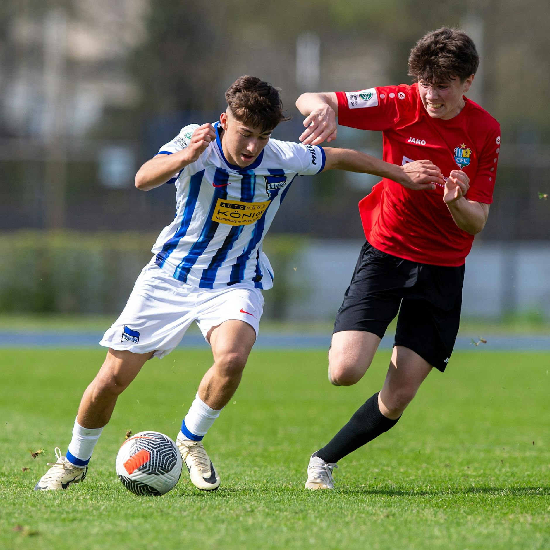 Schon wieder ablösefrei: Hertha BSC verliert weiteres Talent!