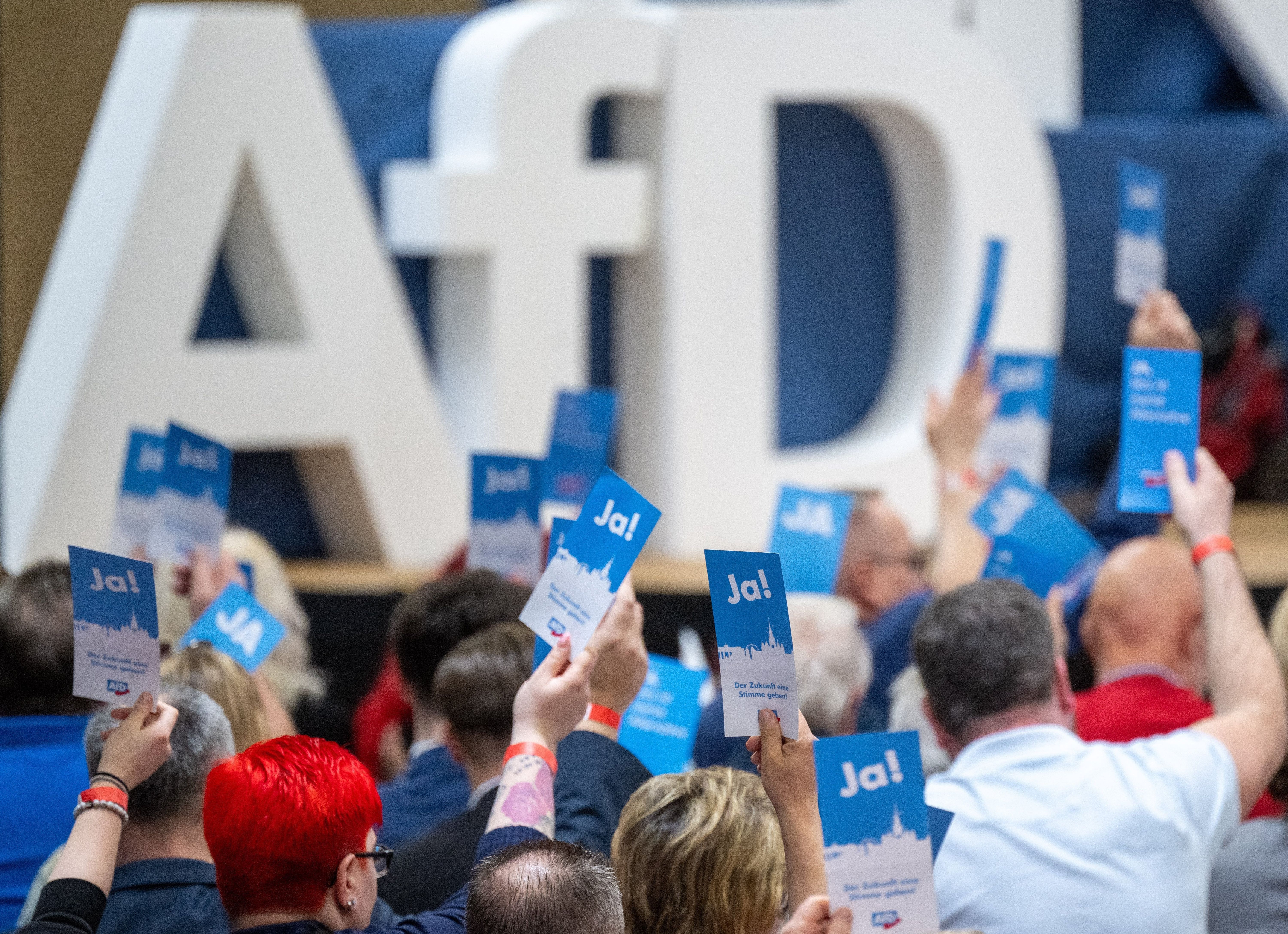 Image - AfD-Antrag fordert Abschiebeprogramm mit Rückführungen im großen Stil