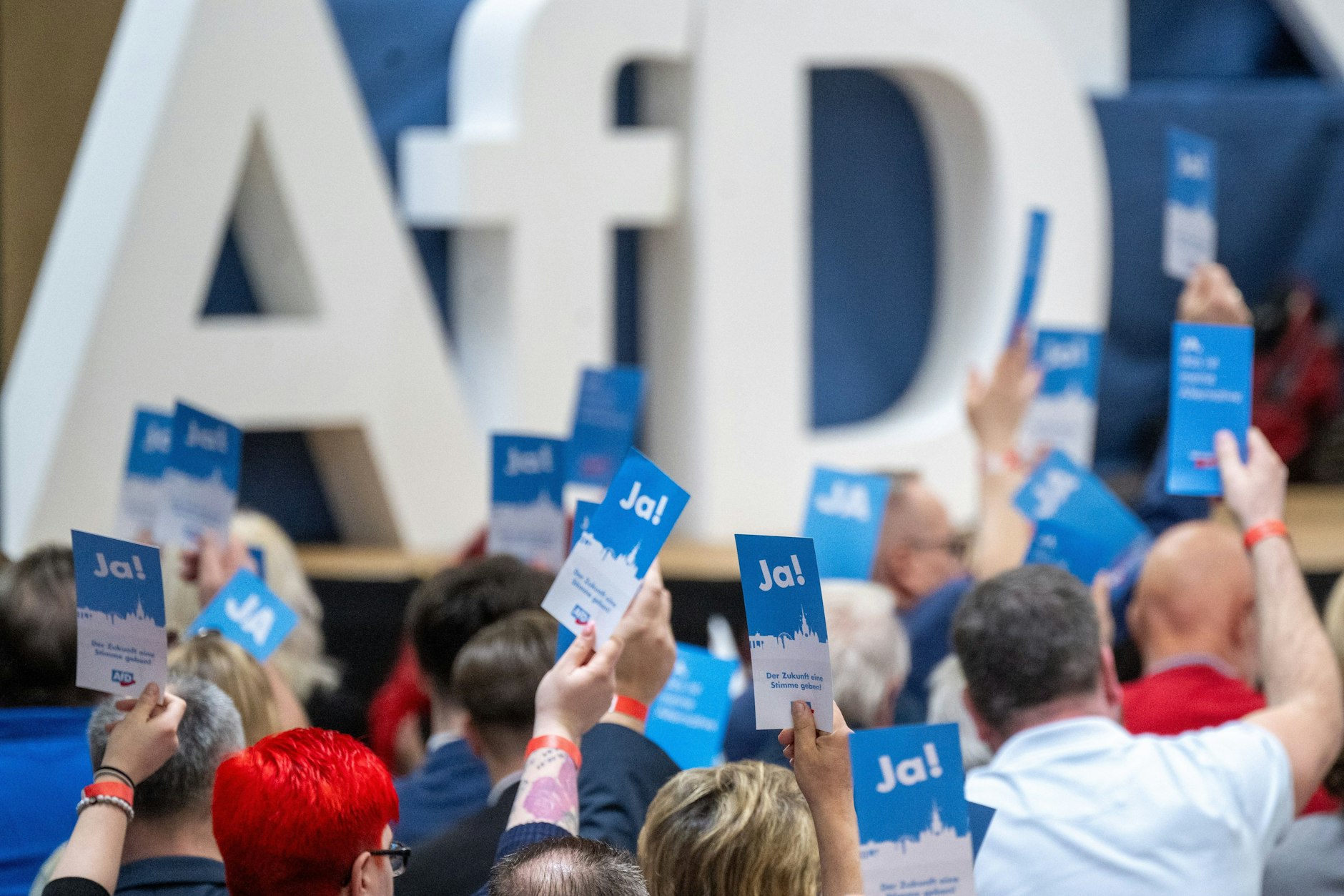 Parteimitglieder halten beim Landesparteitag der AfD Brandenburg in Jüterbog Stimmzettel hoch. 