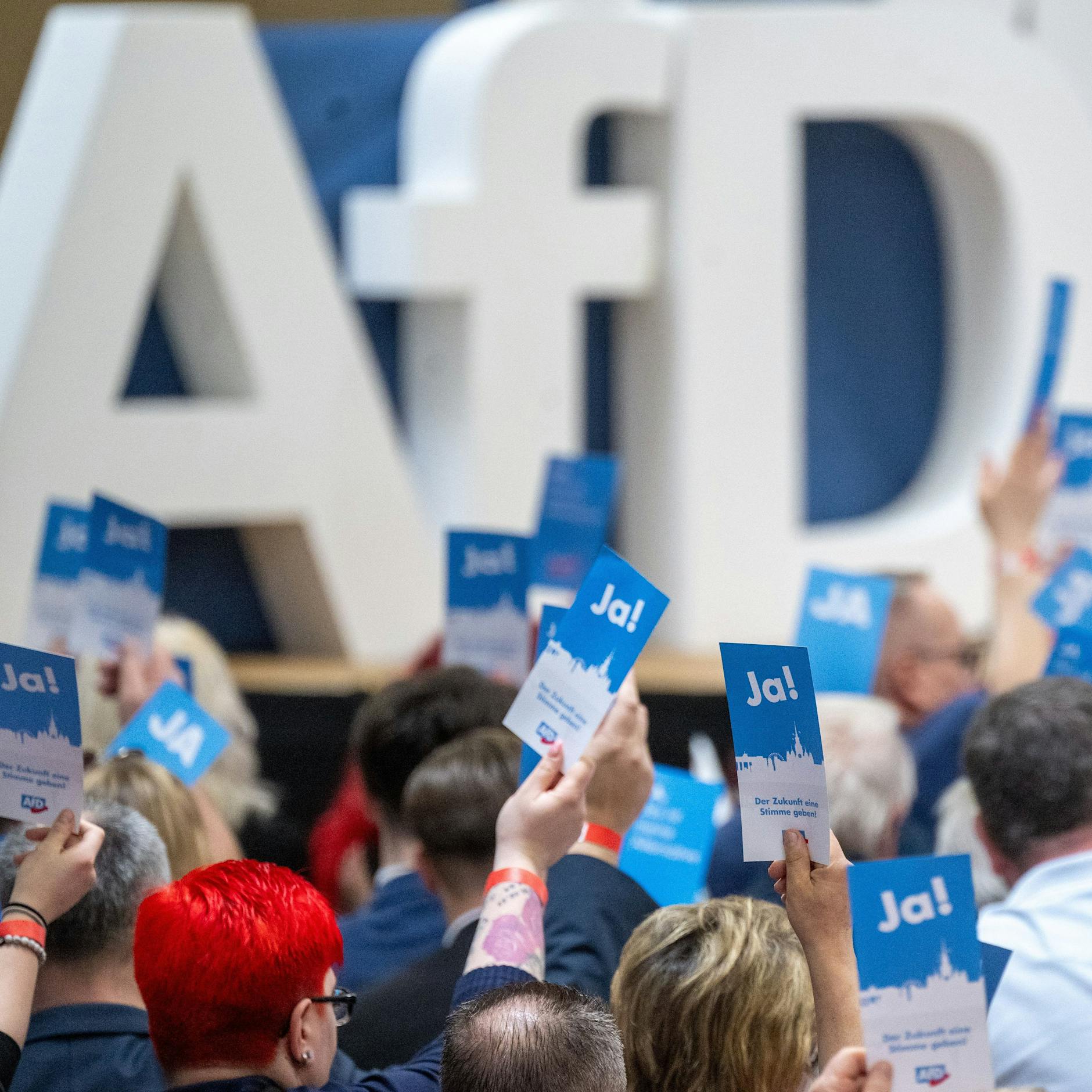 AfD-Antrag fordert Abschiebeprogramm mit Rückführungen im großen Stil