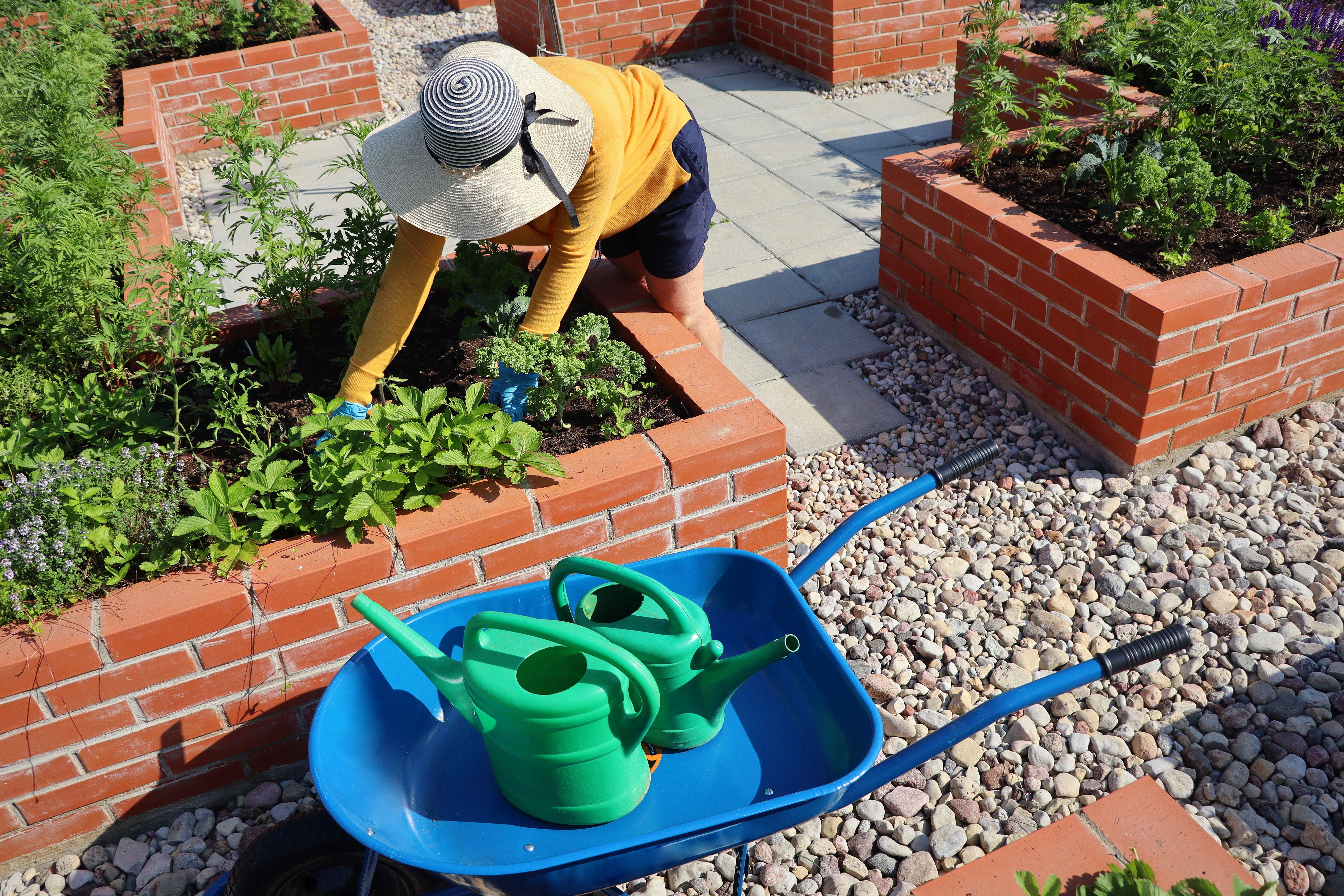Hochbeet anlegen: Gärtnern zu Hause leicht gemacht