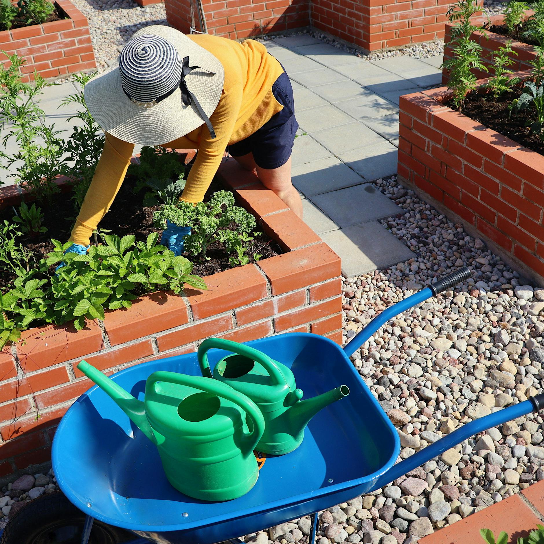 Hochbeet anlegen: Gärtnern zu Hause leicht gemacht