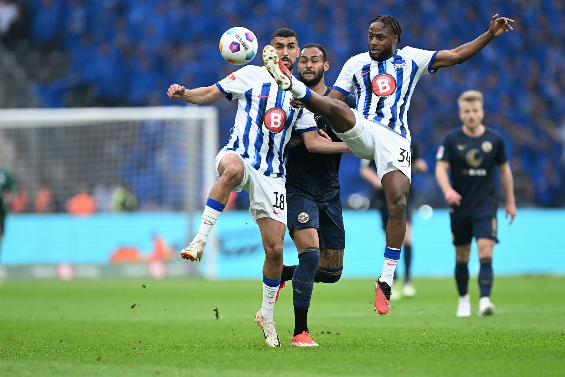Deyo Zeefuik (r., 26) trumpft bei Hertha BSC so sehr auf, dass sein Abschied zum Ende der Saison doch noch nicht besiegelt ist.