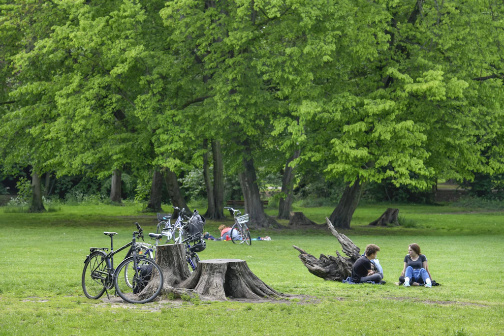 Schönhausen Schlosspark'ta Trafik Güvenliği Planlanan Bakım Önlemleri
