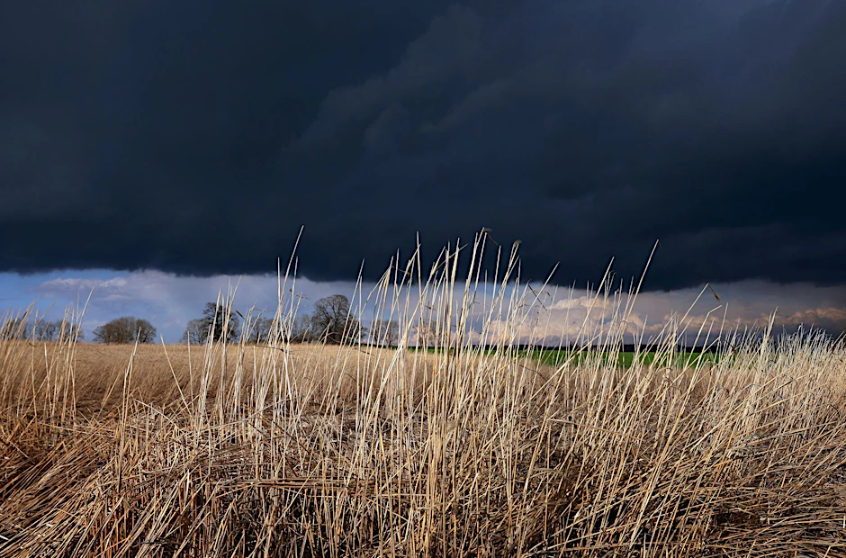 ARCHIV - Gewitterwolken ziehen über ein Feld: Das Wetter am Abend ist durchwachsen.  