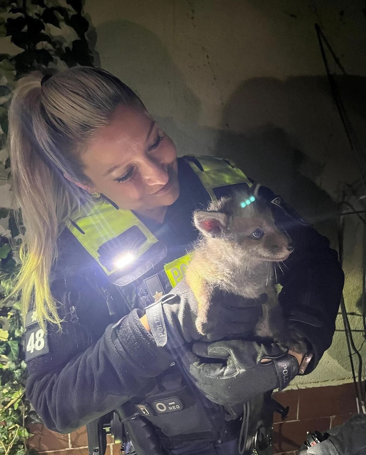 Einbrecher entzückt die Berliner Polizei – sie retteten ihm das Leben!