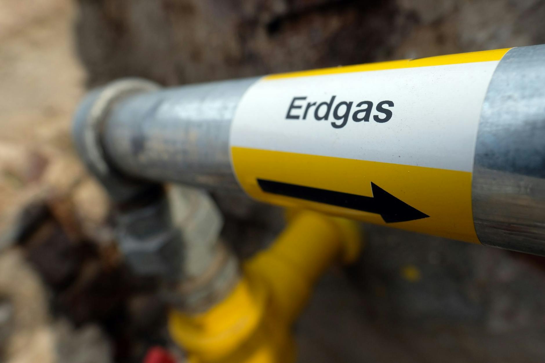 ARCHIV - Experten bezweifeln die Wirksamkeit von Ausgleichsmaßnahmen beim «klimaneutralen Erdgas».