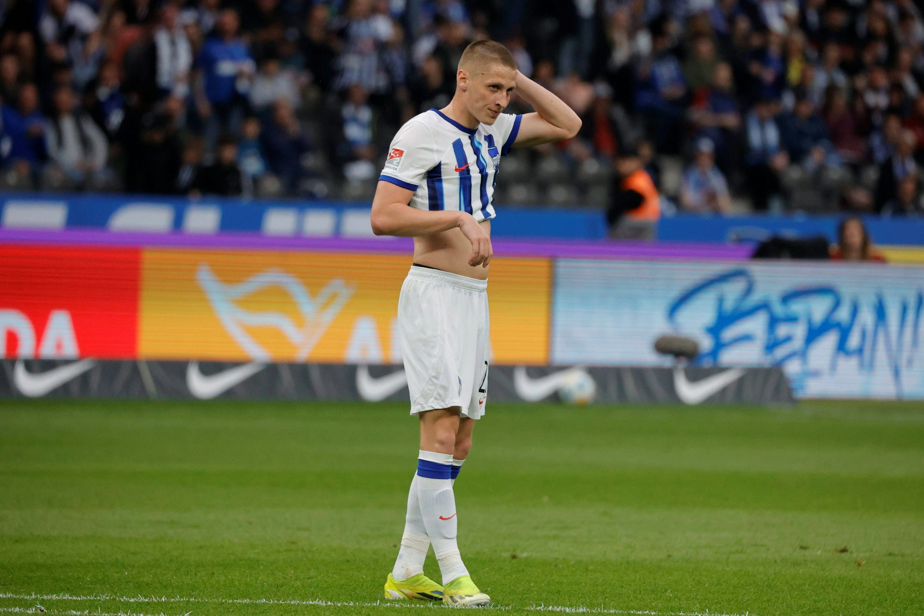 Palko Dardai (24) kehrte erst im Sommer zurück und könnte bereits bald der einzige Dardai bei Hertha BSC sein. 