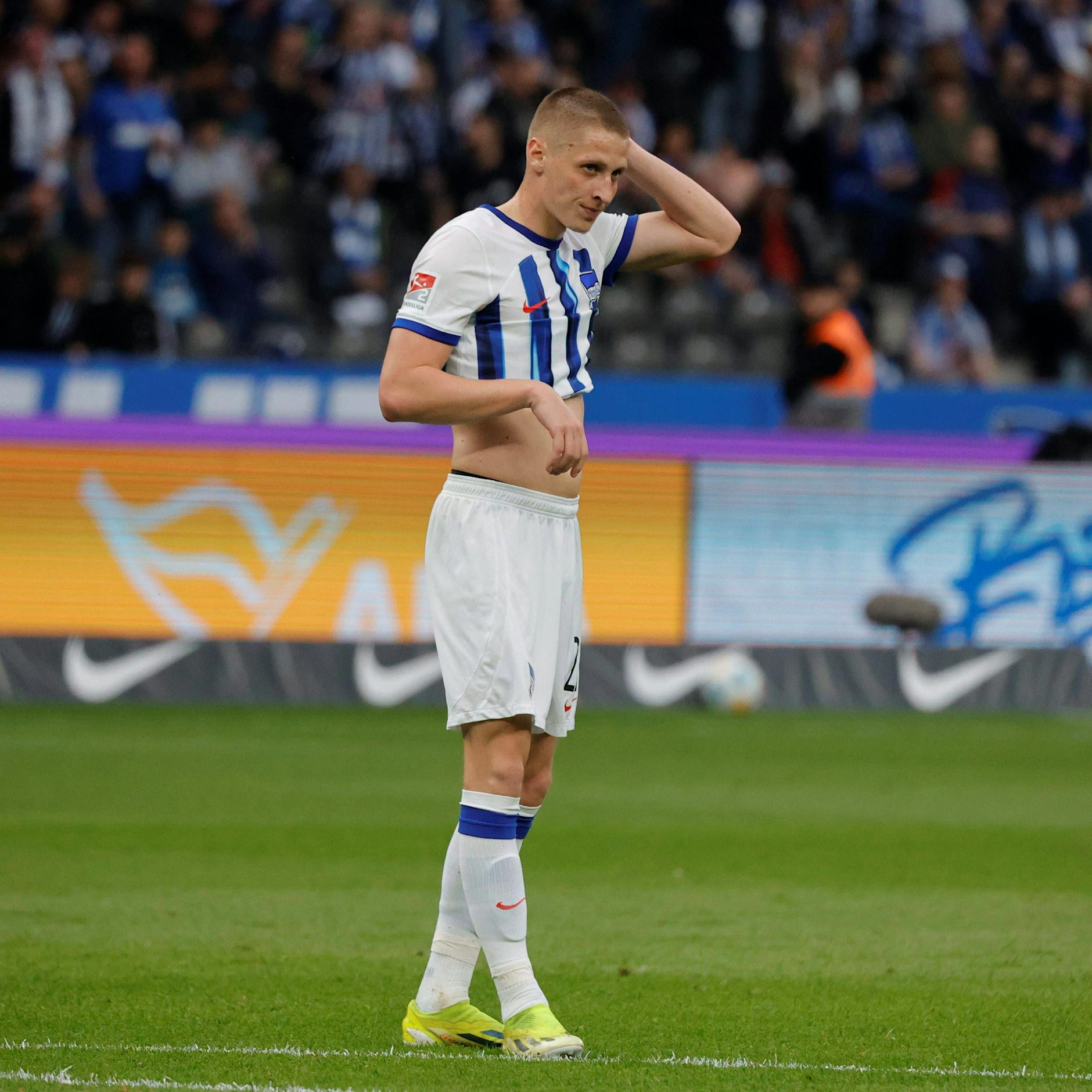 Palko bald allein zu Haus? Dardai-Dynastie bei Hertha BSC vor dem Ende