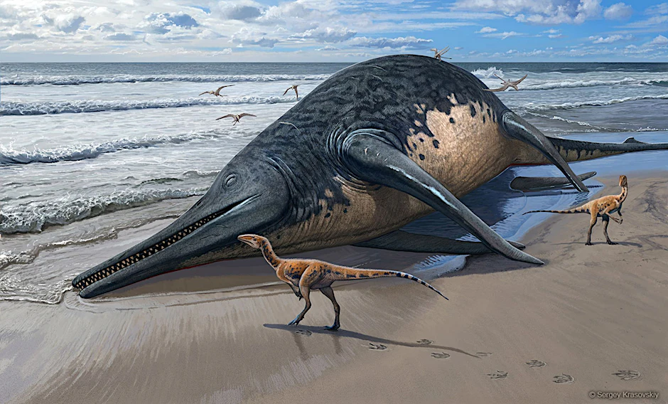 Die künstlerische Darstellung zeigt einen angeschwemmten Ichthyotitan severnensis-Kadaver am Strand. 