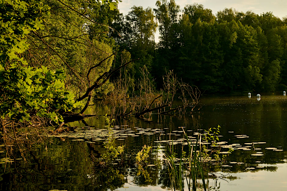 Blick auf den Teufelssee im Grunewald