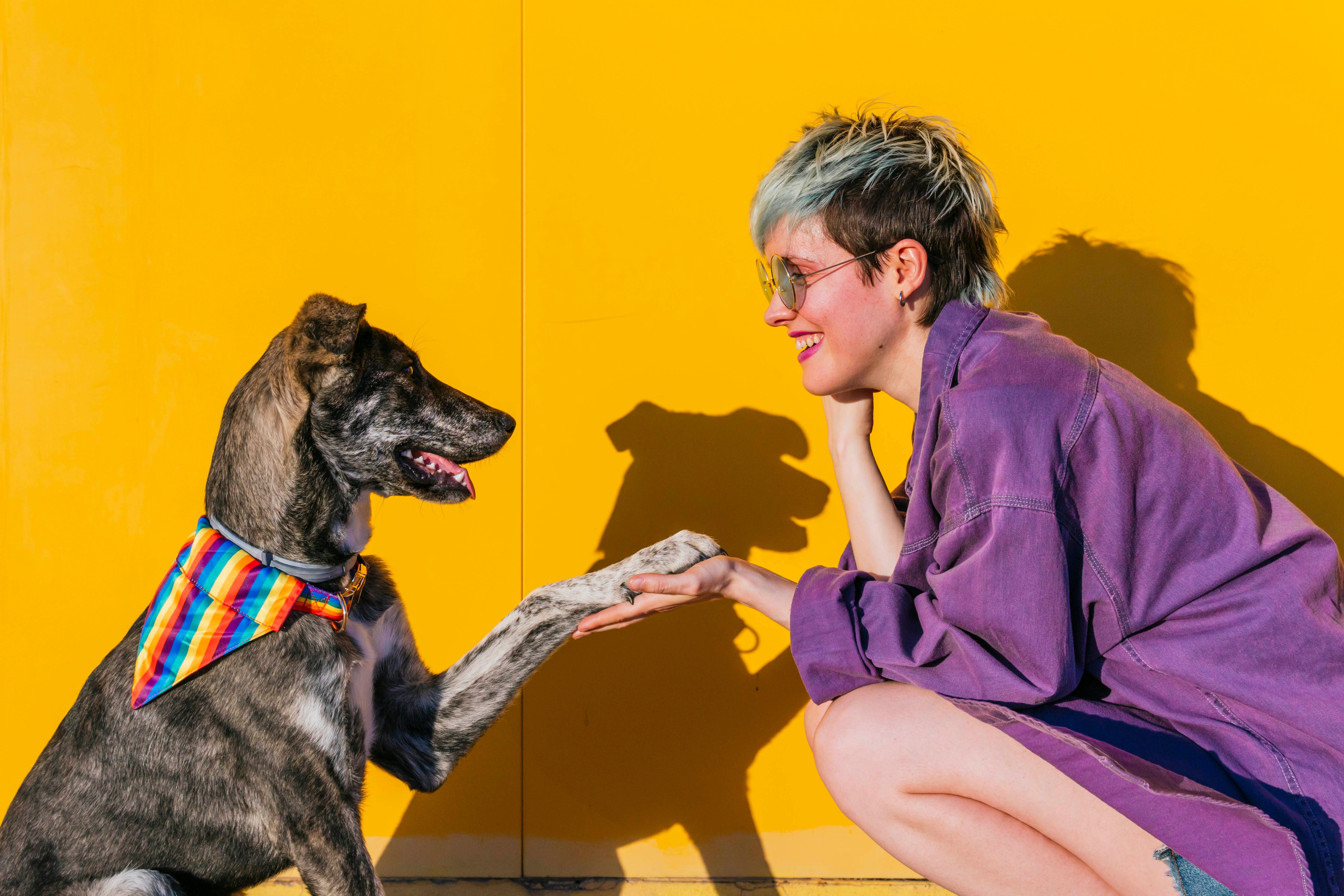 Horoskop für heute: Dienstag, der 25. Juni 2024 – für alle Sternzeichen