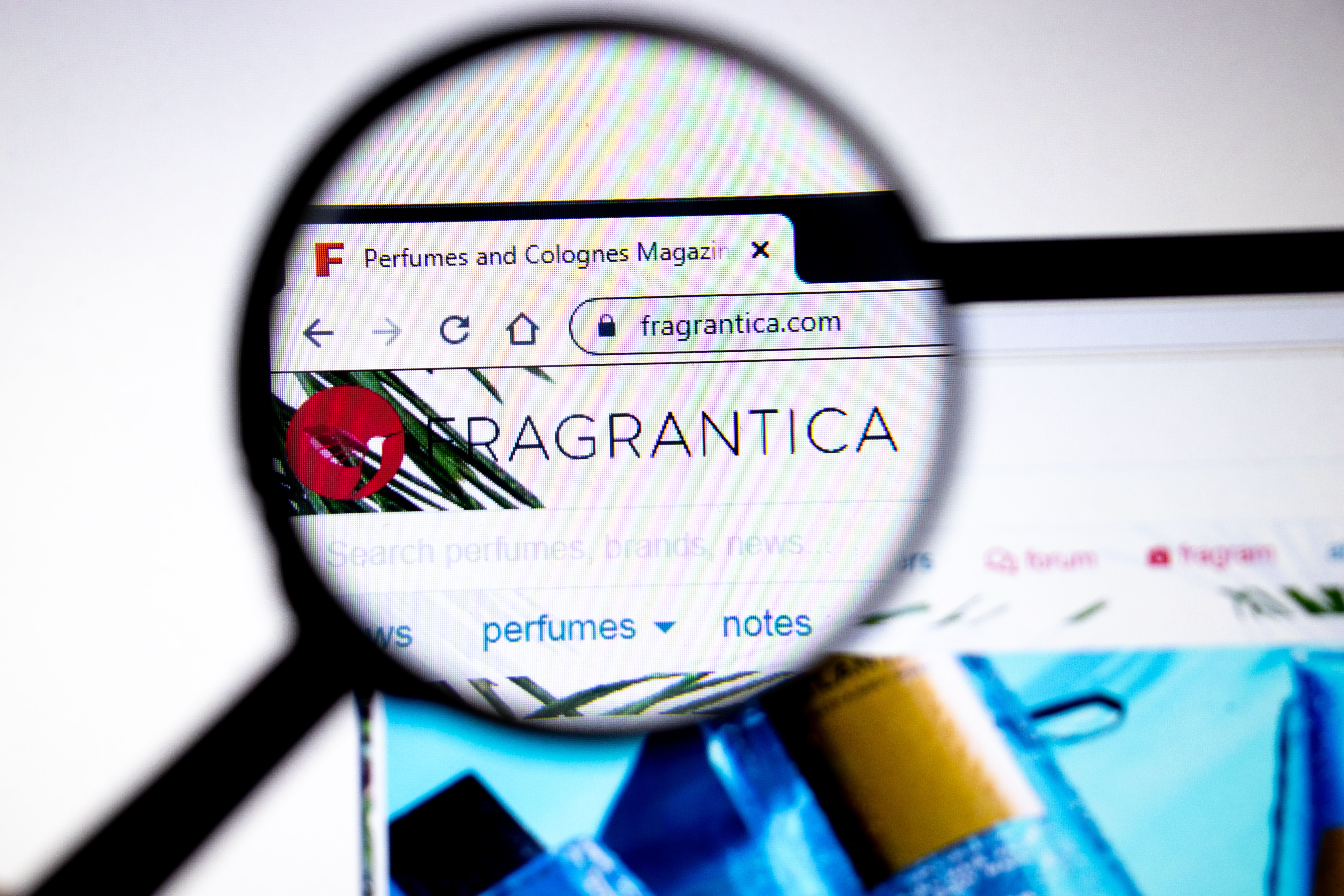 Welche Social Media passt zu mir?