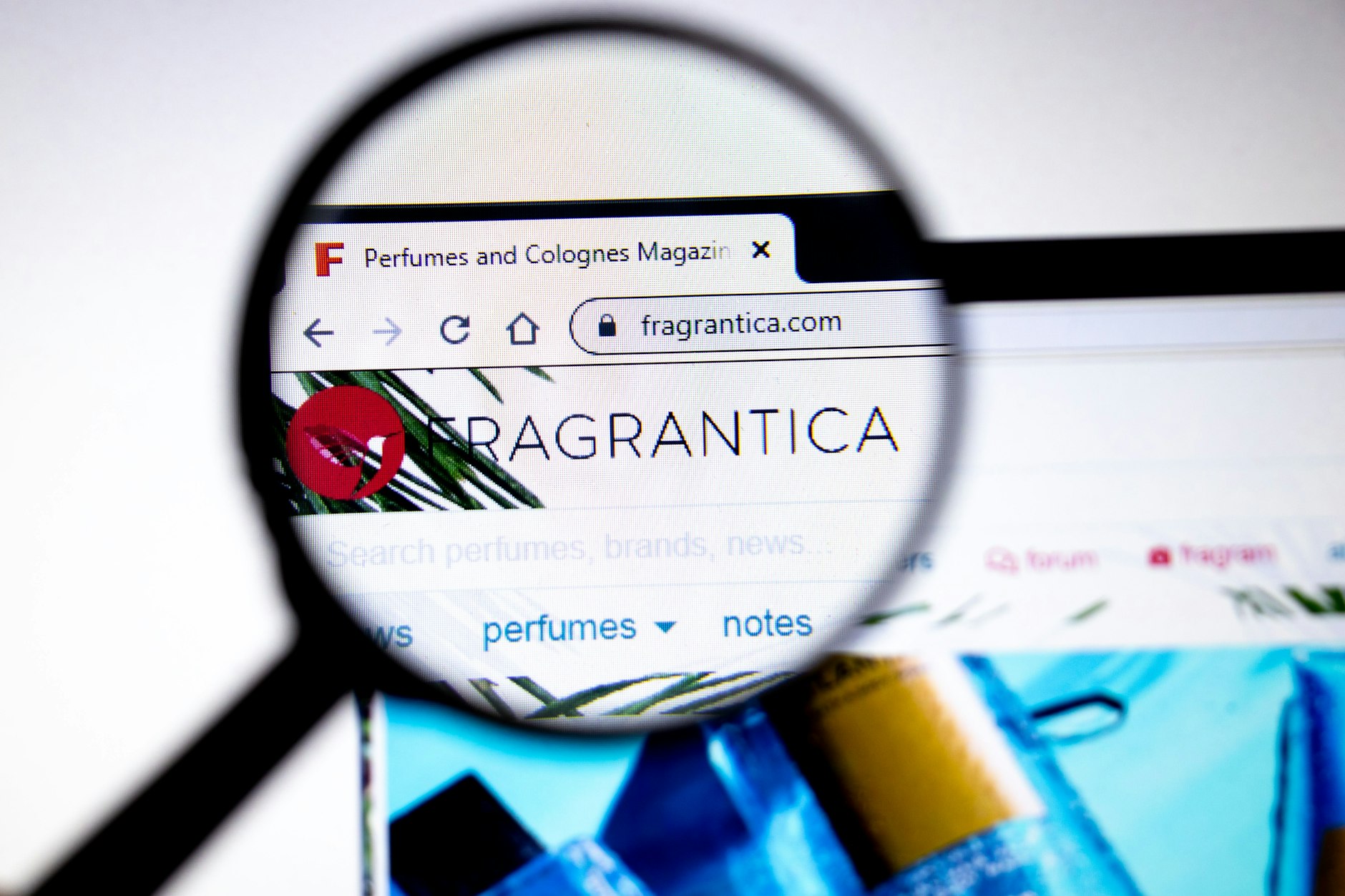 Wer bei Parfums in die Tiefe tauchen will, der ist bei Fragrantica genau richtig.