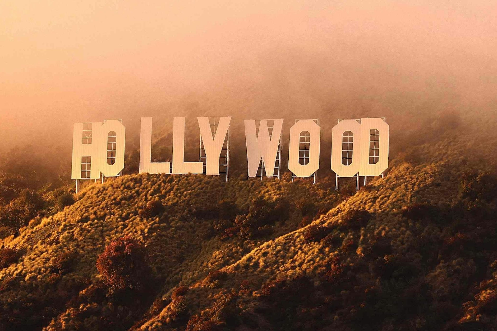 Heute sind sie als Schauspieler weltberühmt. Dabei ging ihr Stern in Hollywood unter sehr ungewöhnlichen Umständen auf ...