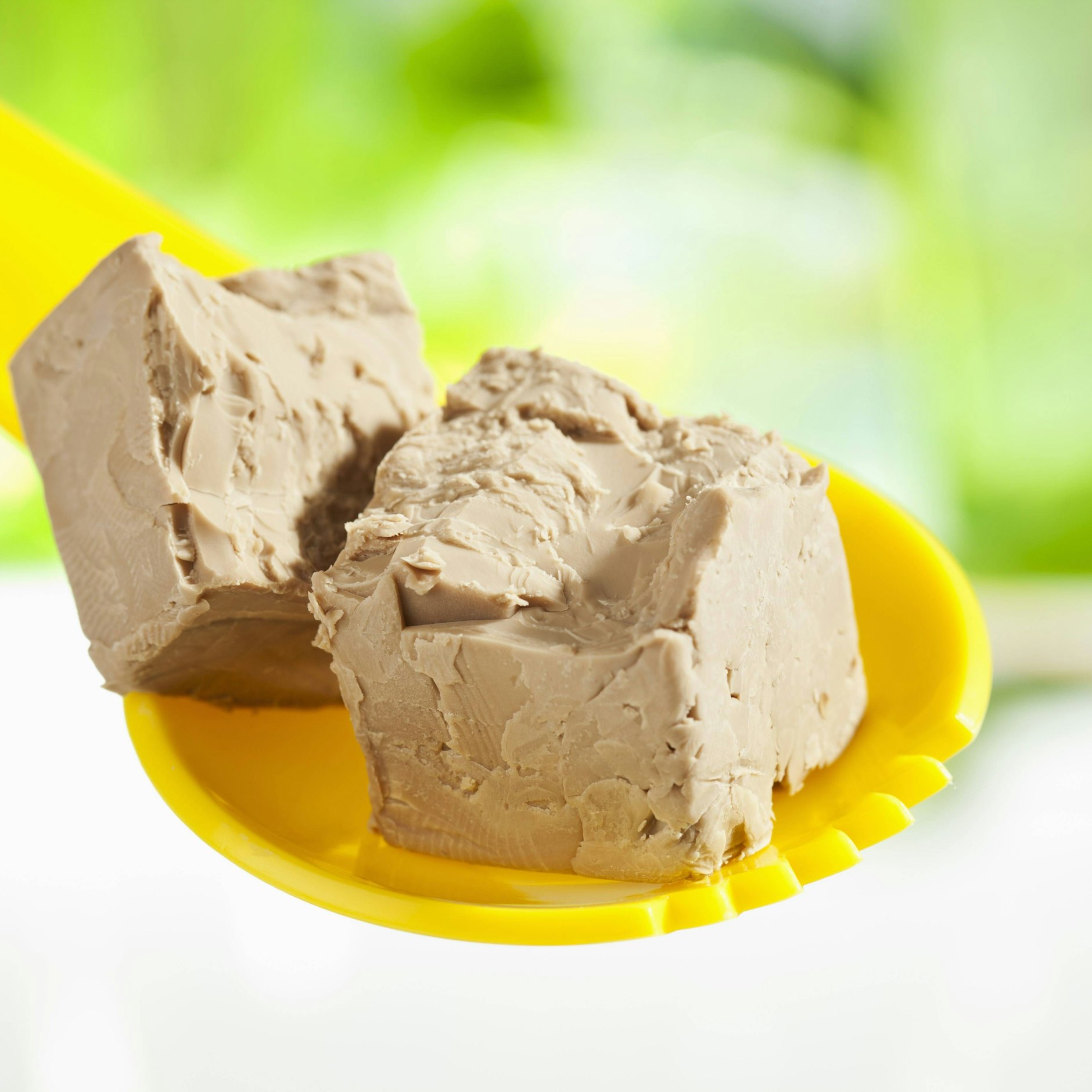 Die Hefe sollte unbedingt frisch sein, sonst geht das Brotbacken schief.