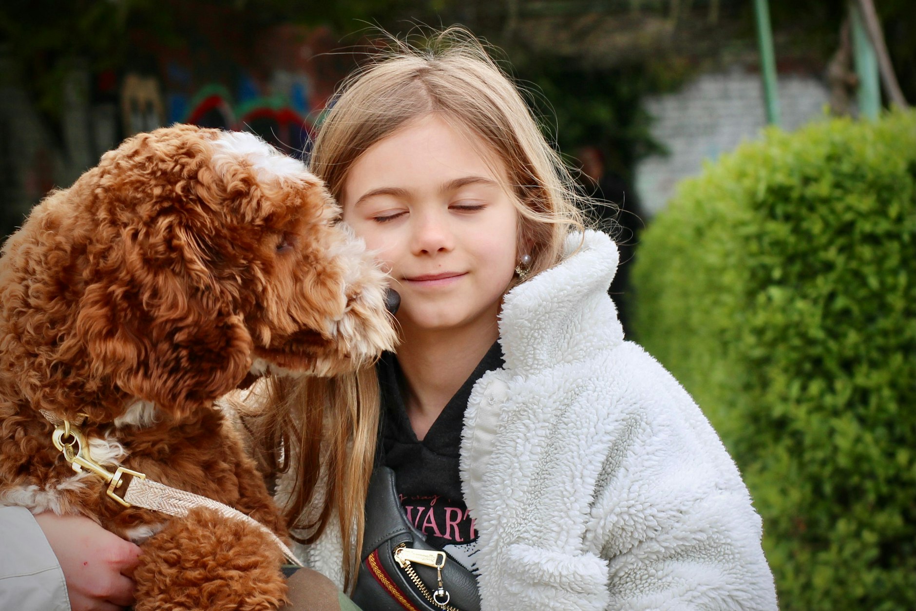 Potter und sein Frauchen Sofia sind beste Freunde! Mit Potter gibt es also einen strahlenden Gewinner, der sich über sein Futterpaket sehr gefreut hat. Automatisch nimmt Potter damit an der Gesamtabstimmung zum Hundeskanzler 2024 teil.&nbsp;Die zweite Hundeskanzler-Runde läuft bereits; zu gewinnen gibt es neben einem leckeren Futterpaket ein professionelles Hundetrainings-Programm. Potter und alle anderen Teilnehmer der ersten Runde können selbstverständlich auch an der nächsten Runde teilnehmen.